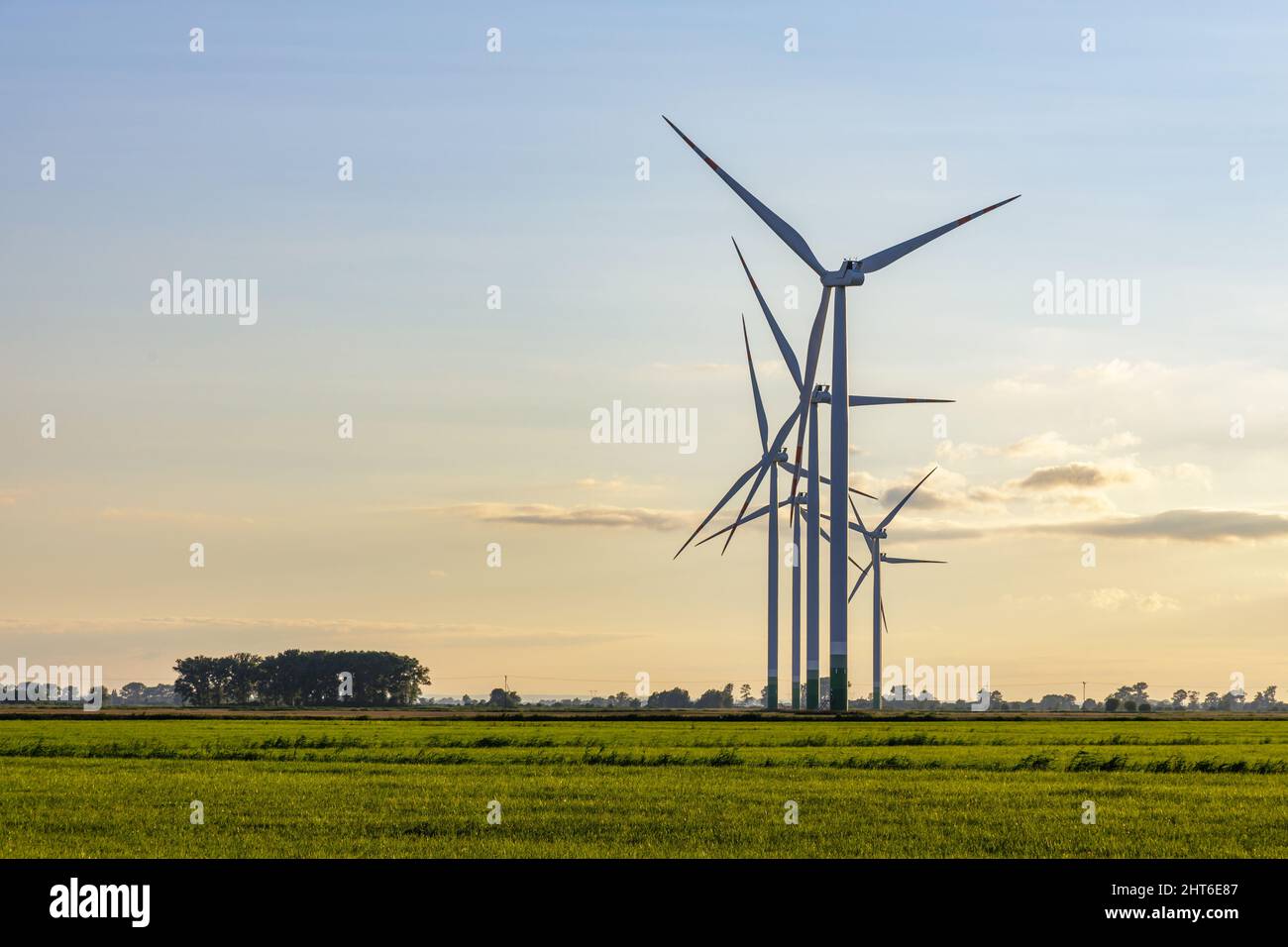 Windmill farm on green meadow, green energy production using wind power Stock Photo