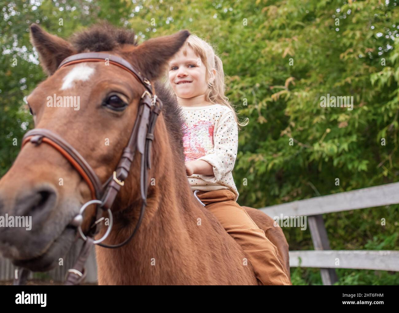 little girl riding pony without saddle on meadow in summer sunny afternoon Stock Photo
