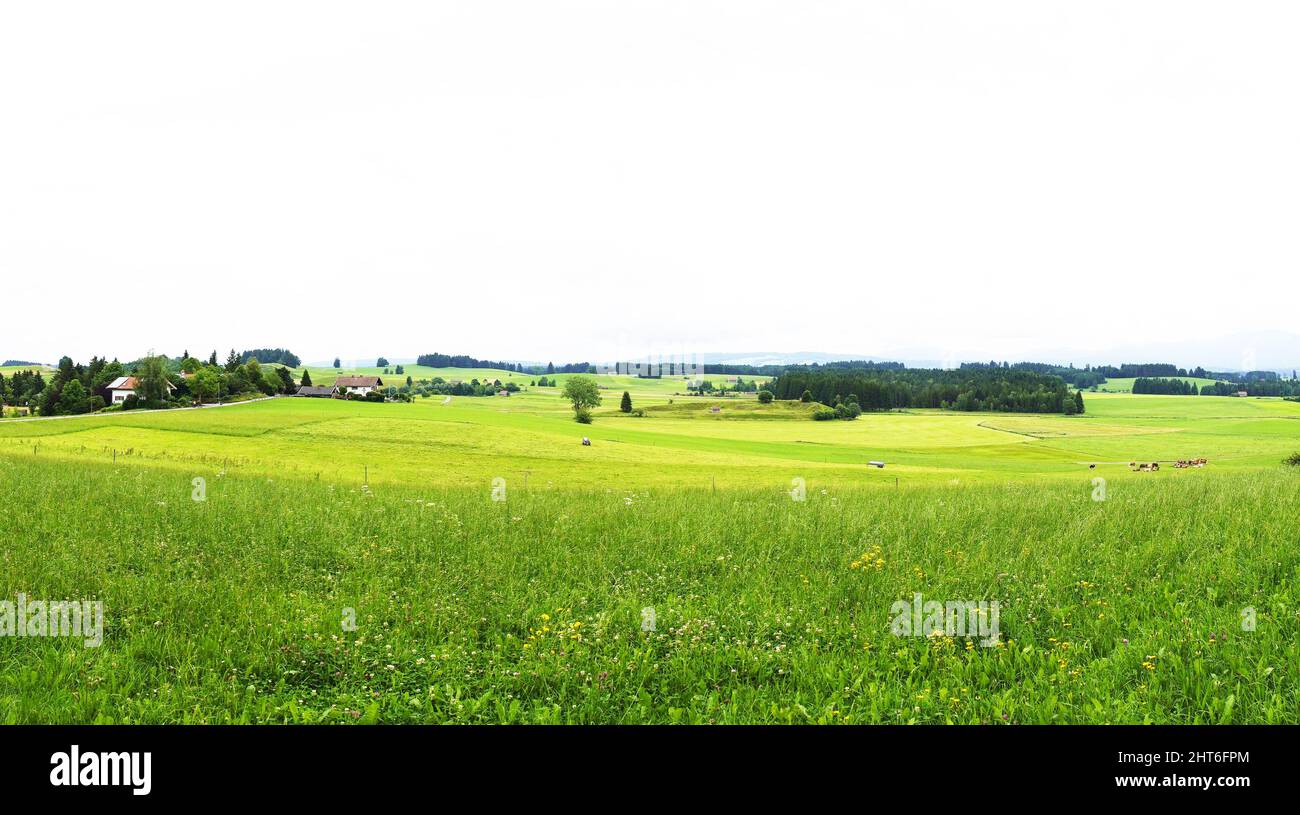 Landscape in the Allgau region of Bavaria in Germany Stock Photo - Alamy