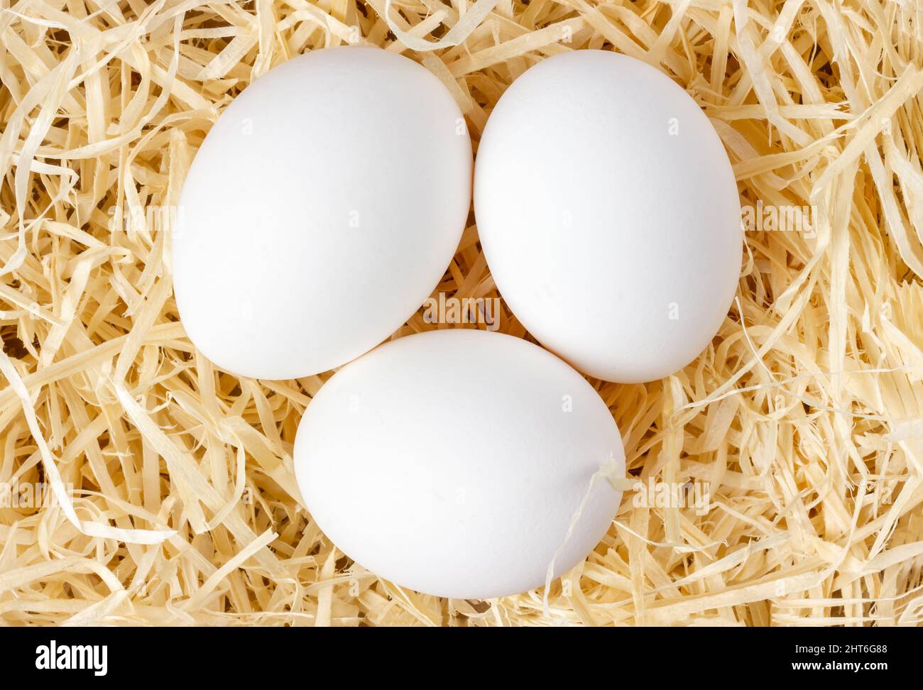 Chicken eggs on a light straw. White eggs. Nest with eggs Stock Photo ...