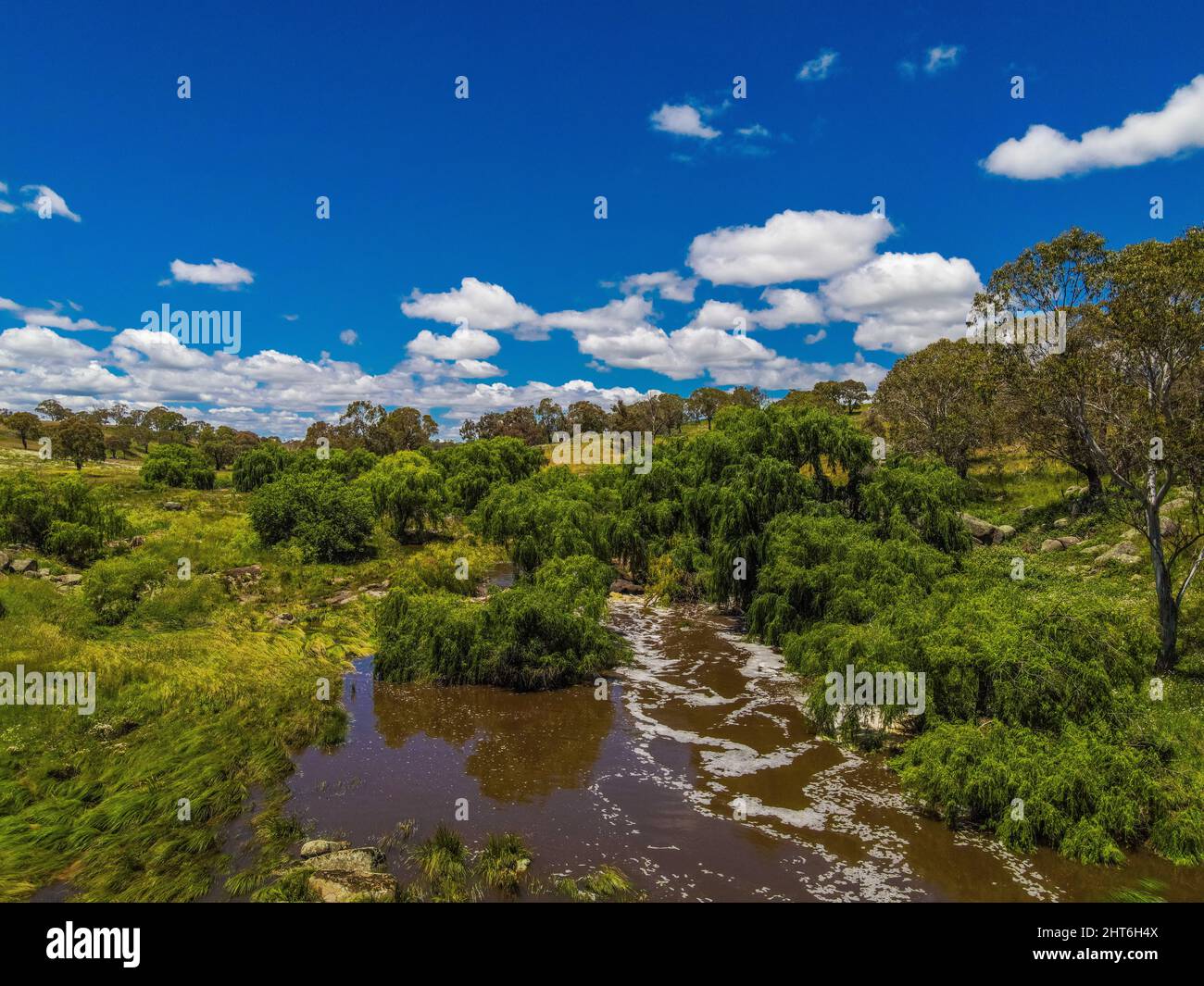 Aerial view of green lands, trees, and the Mann River near Glen Innes