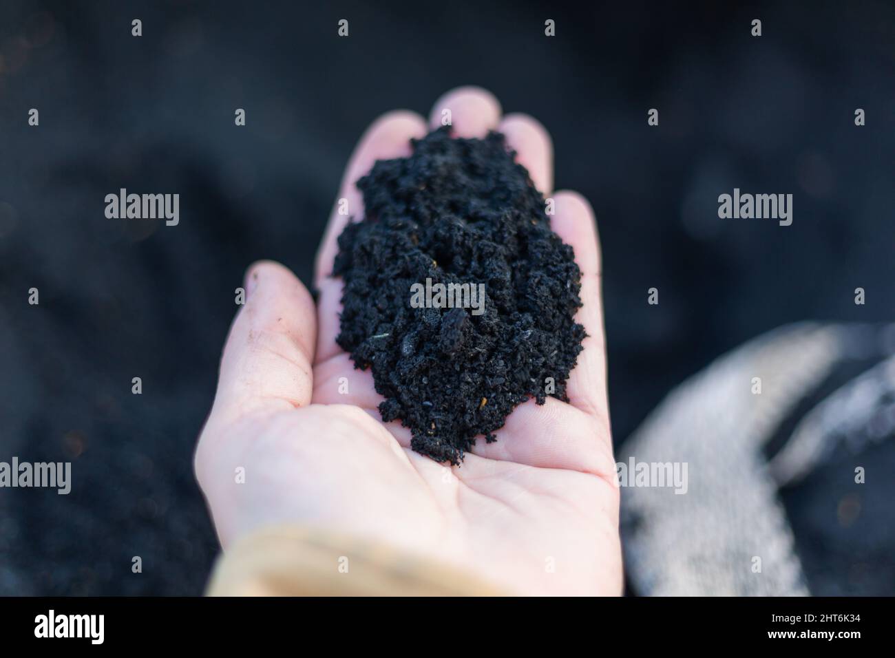 Top view of black Organic composted soil amendments in a hand Stock Photo Alamy