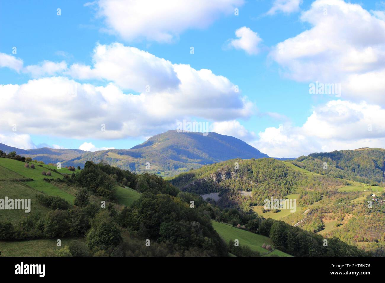 Beautiful landscape of dense forests on the hills Stock Photo - Alamy