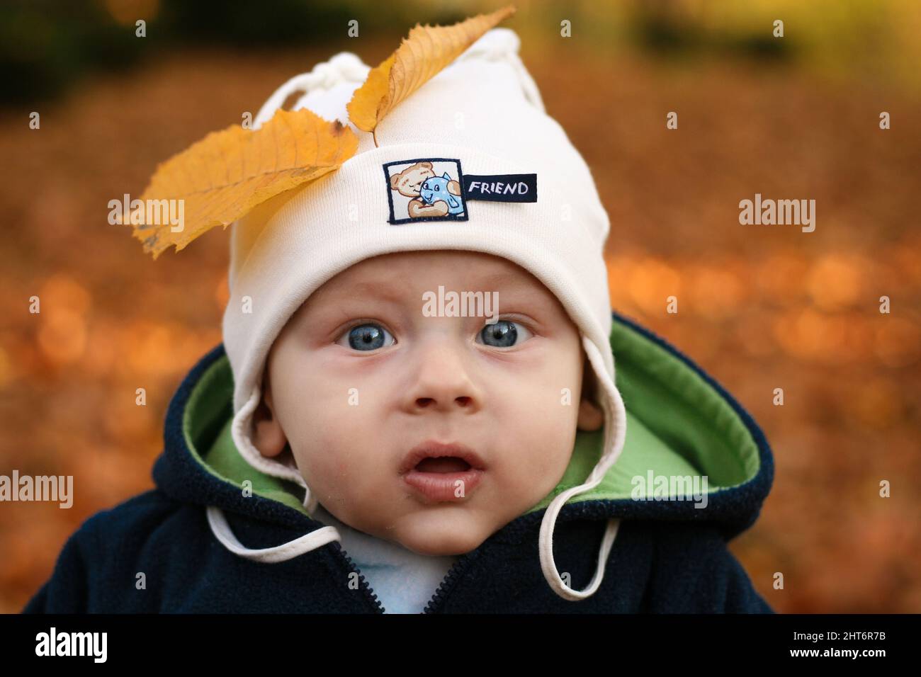 Five months old baby boy with yellow leaf in his cap stare curiously straight to lens in park in autumn Stock Photo