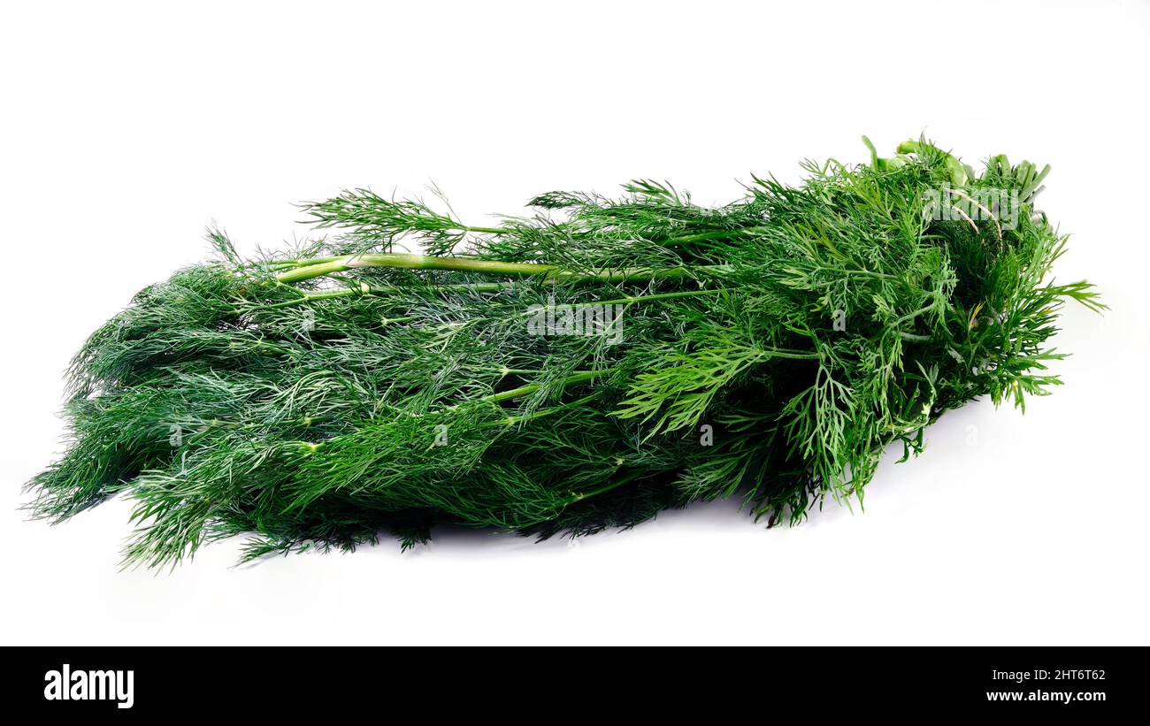 Bunch of dill isolated on white Stock Photo