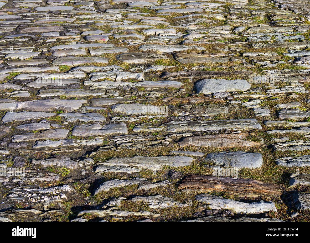 Stone cobbled street or cobbled roadway Stock Photo