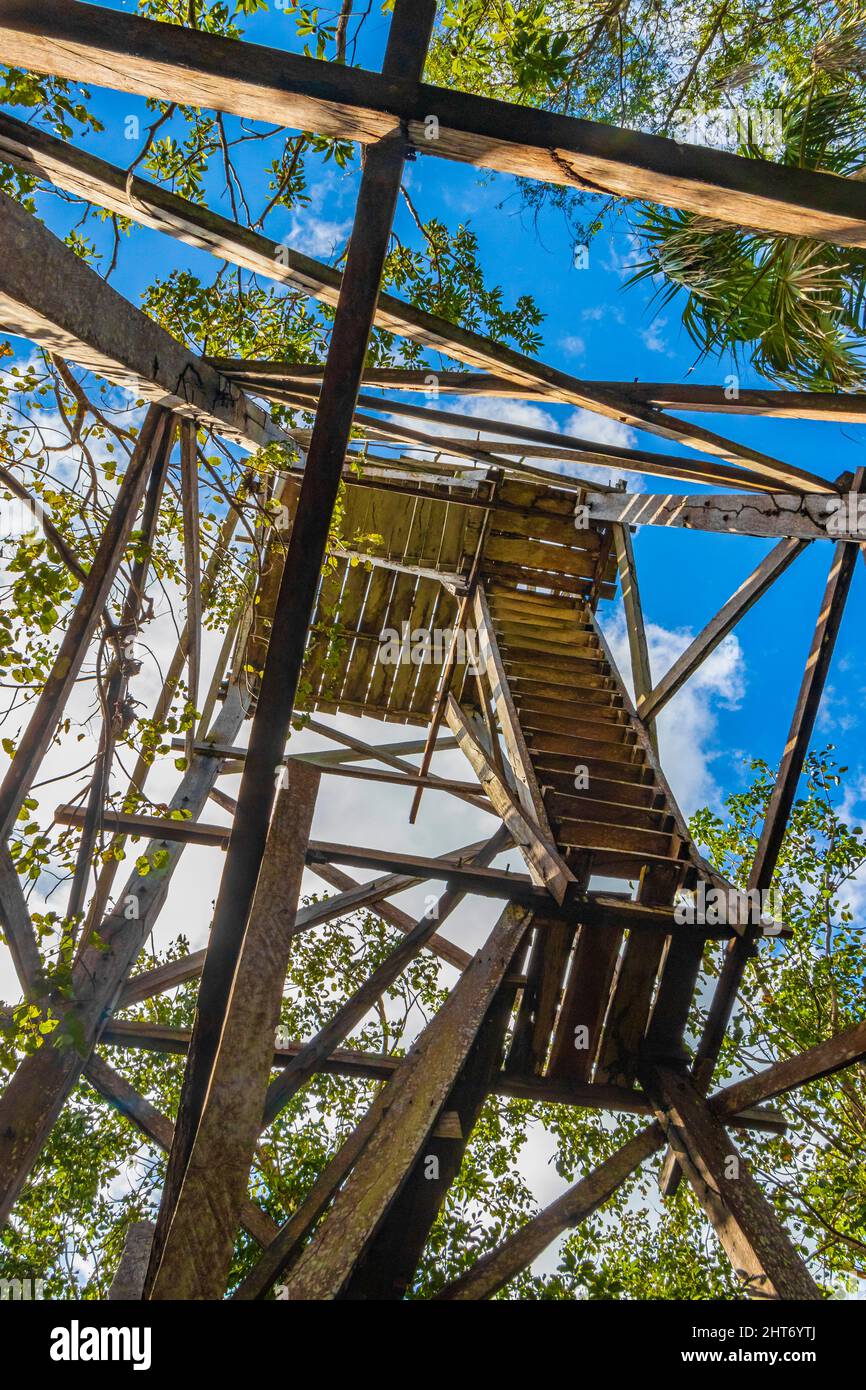 Wooden viewpoint tower with panorama view to the Muyil Lagoon in the tropical jungle nature forest of Sian Ka'an National park Muyil Chunyaxche Quinta Stock Photo