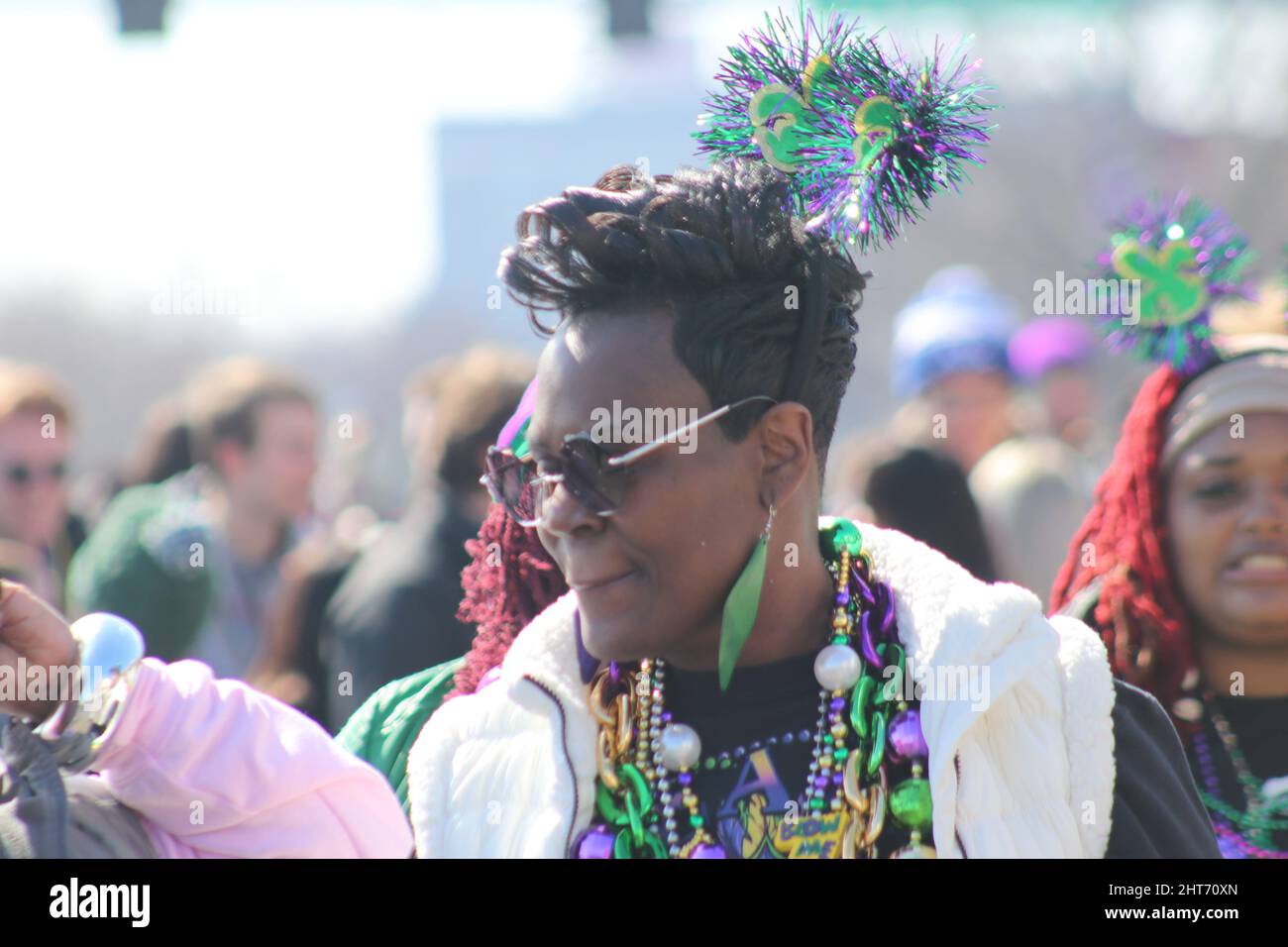soulard mardi gras flag