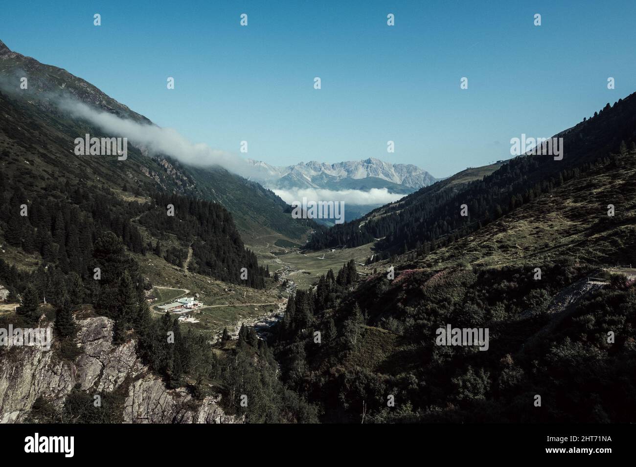 Aerial view of dense forests on mountain slopes Stock Photo - Alamy