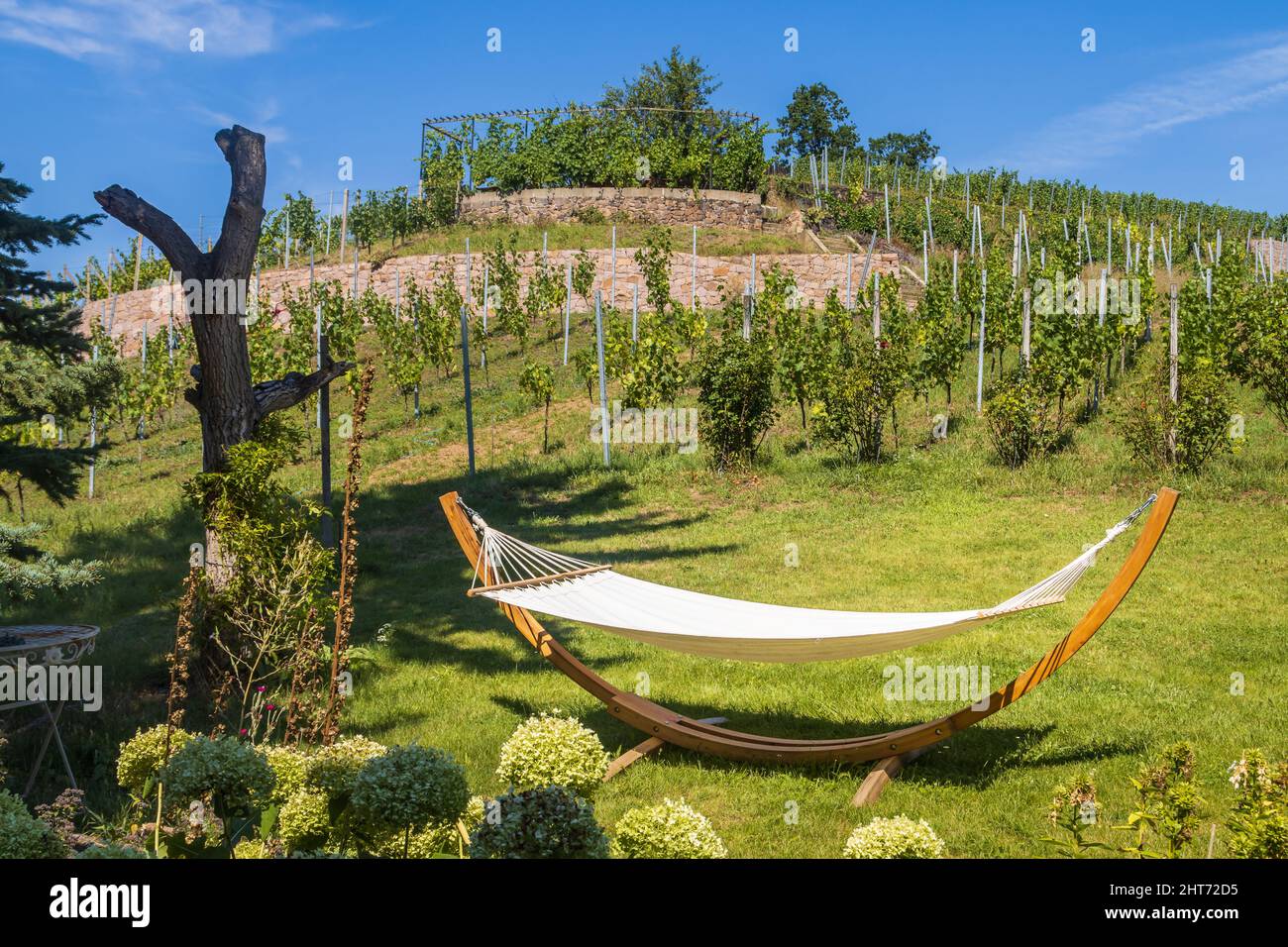 Closeup of a hammock in a vineyard Stock Photo