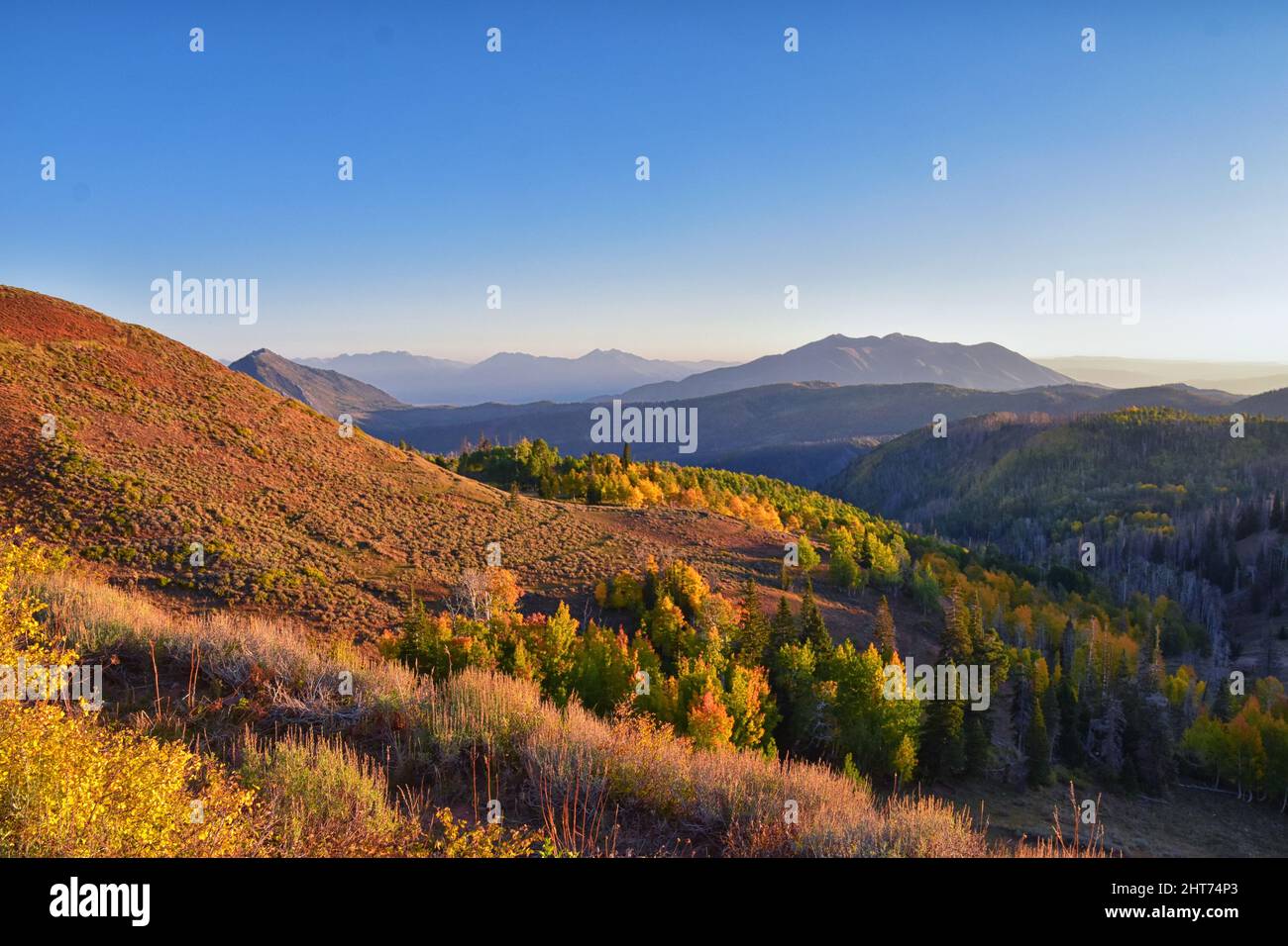 Mount Nebo Wilderness Peak, Views of hiking trail with peak of 11,933