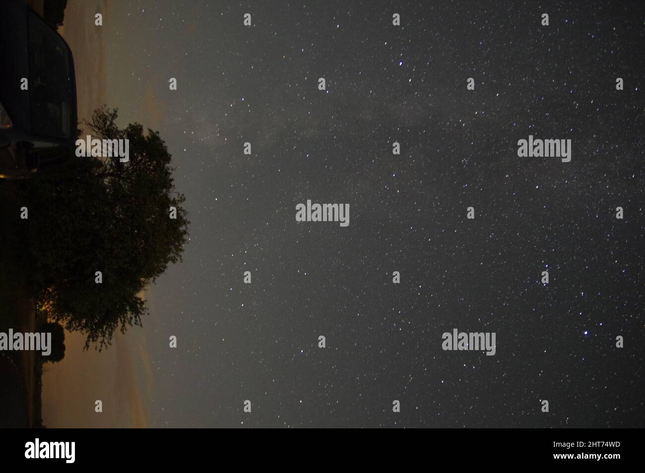 Vertical shot of The night sky behind a oak tree in Fjugesta, Sweden ...