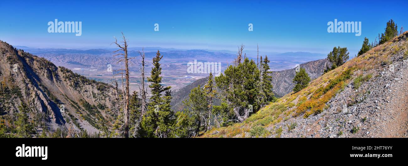 Mount Nebo Wilderness Peak, Views of hiking trail with peak of 11,933