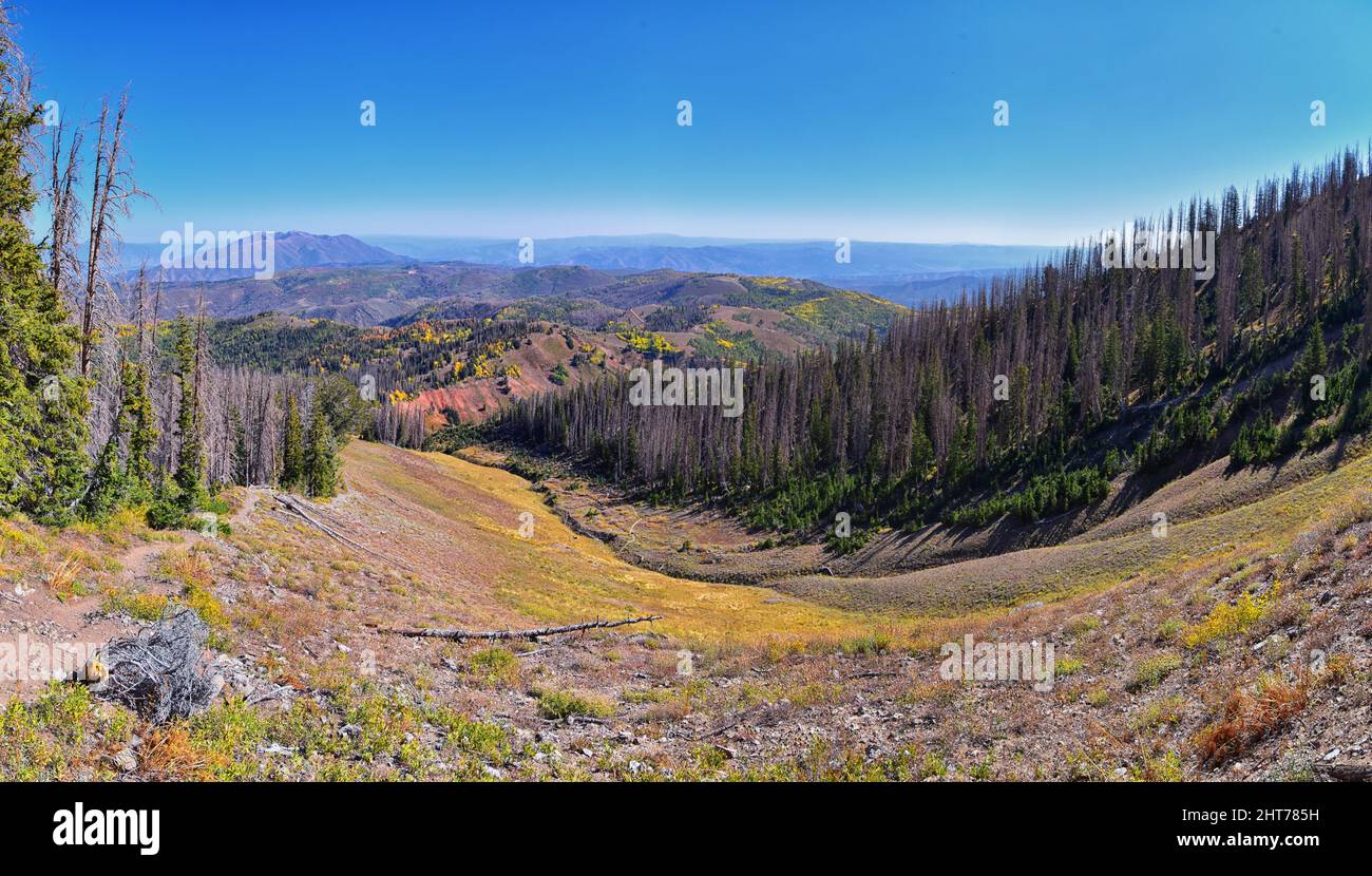 Mount Nebo Wilderness Peak, Views of hiking trail with peak of 11,933