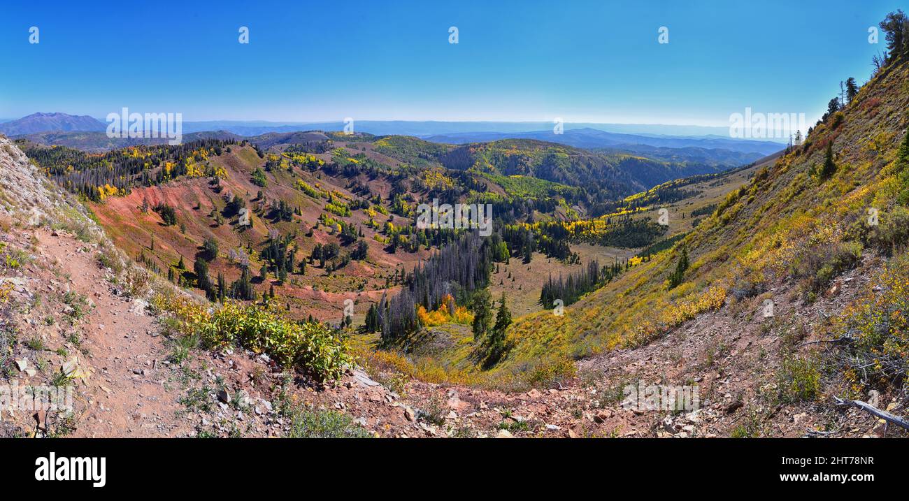 Mount Nebo Wilderness Peak, Views of hiking trail with peak of 11,933