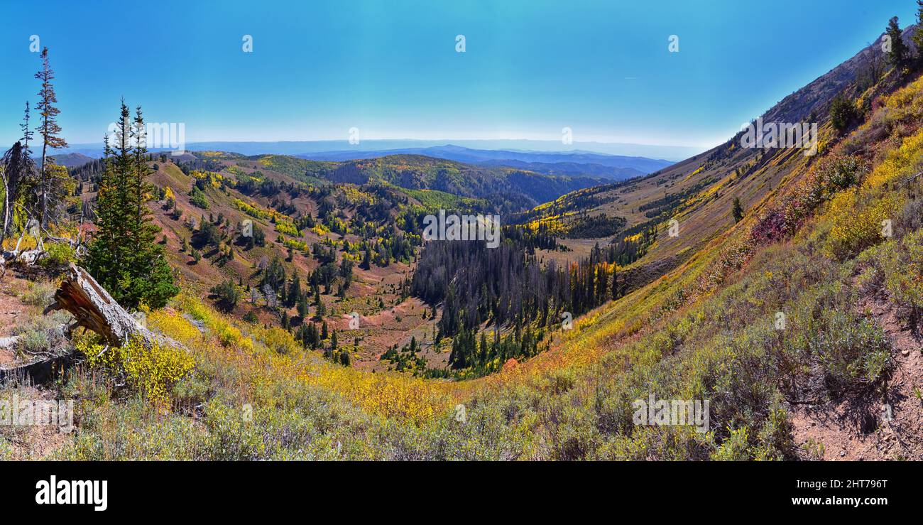 Mount Nebo Wilderness Peak, Views of hiking trail with peak of 11,933