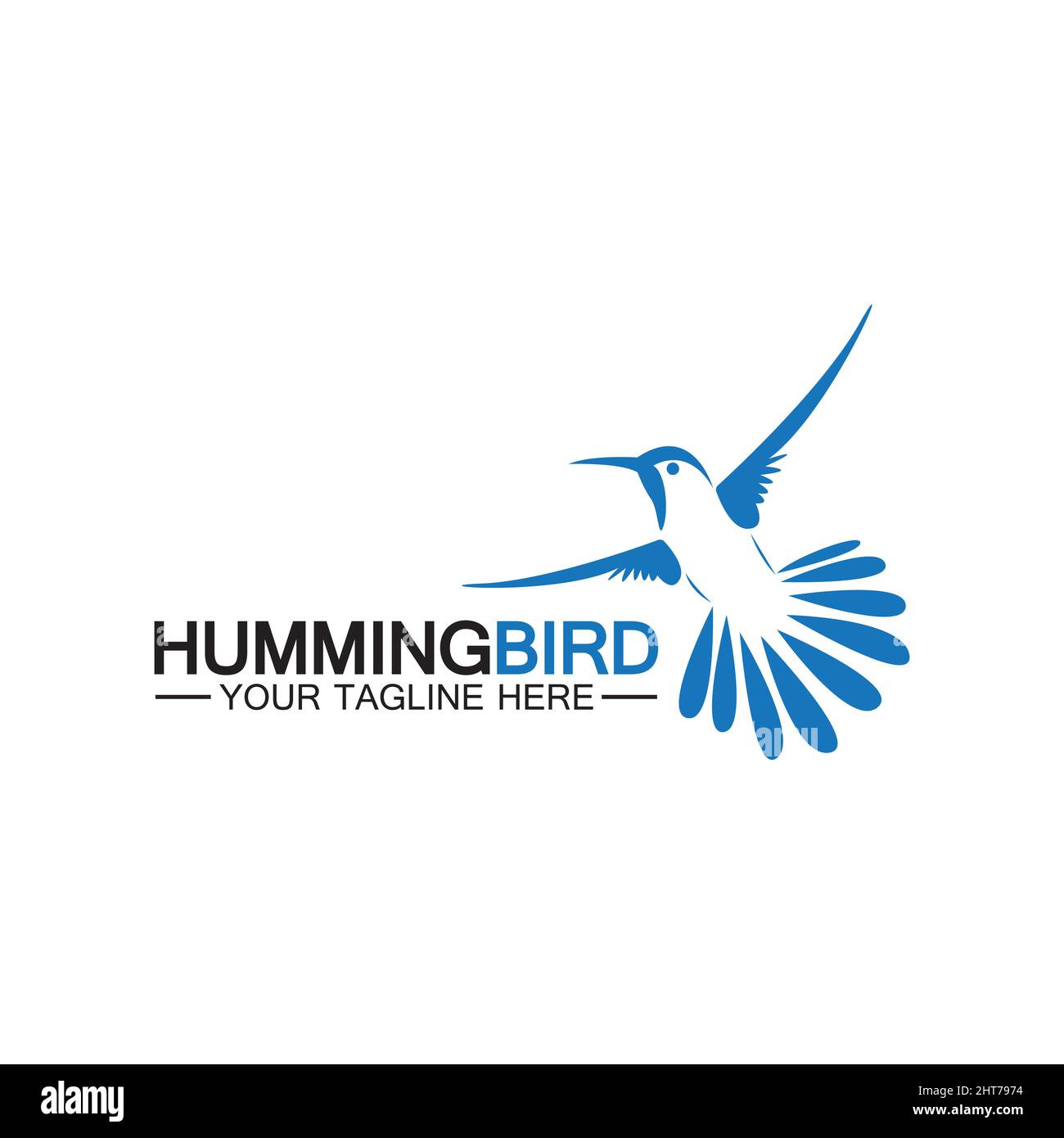 Hummingbird logo design vector template Stock Vector