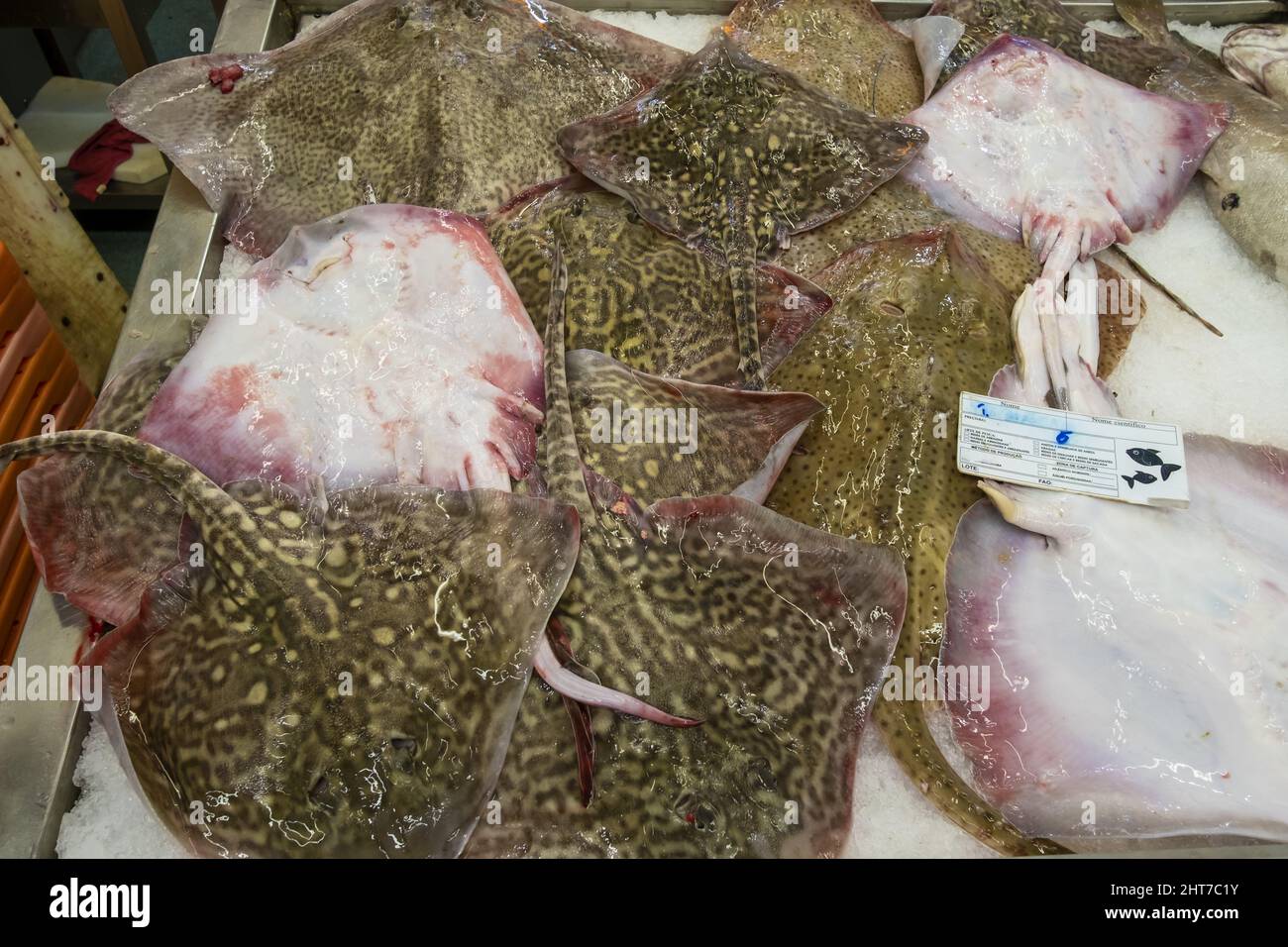 Fresh fish for sale at a market in Porto, Portugal Stock Photo Alamy