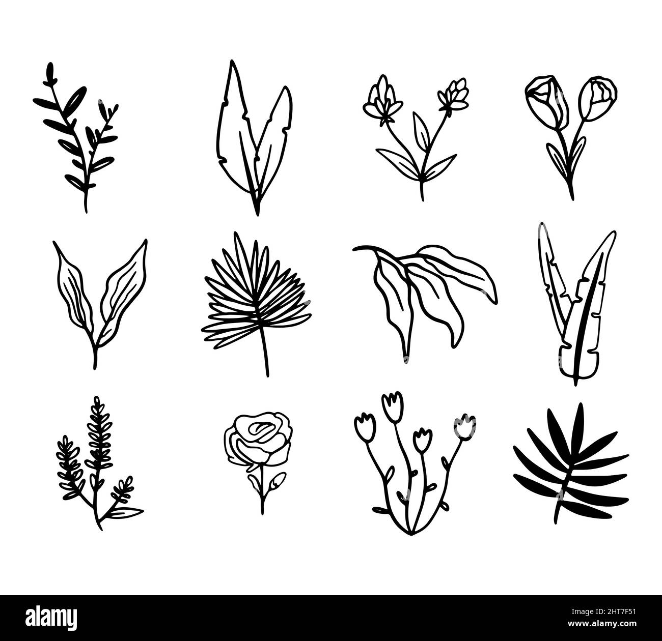 Vector collection Line art of flowers and plants. Decorative beauty ...