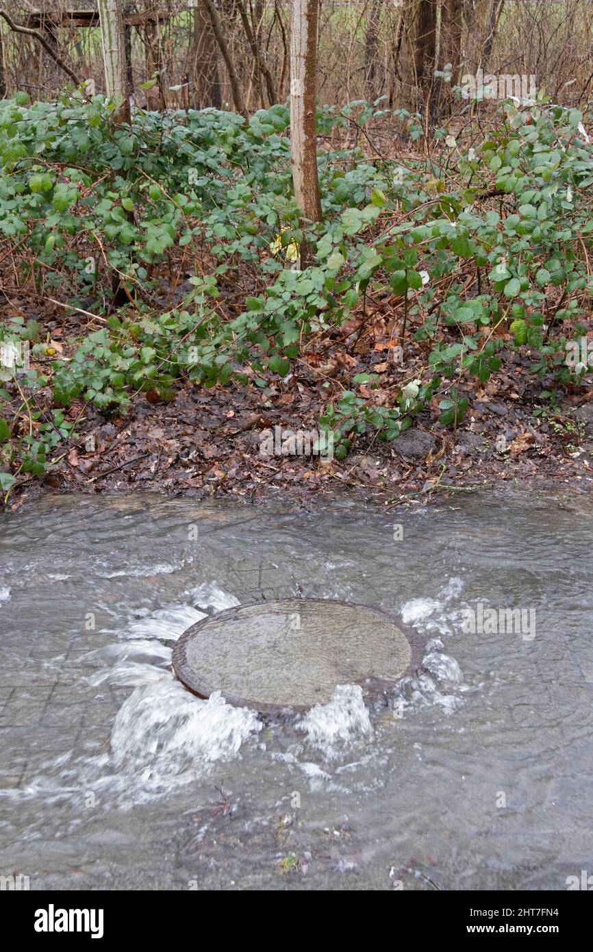 Water emerging from a manhole cover, Wilhelmsburg, Hamburg, Germany Stock Photo
