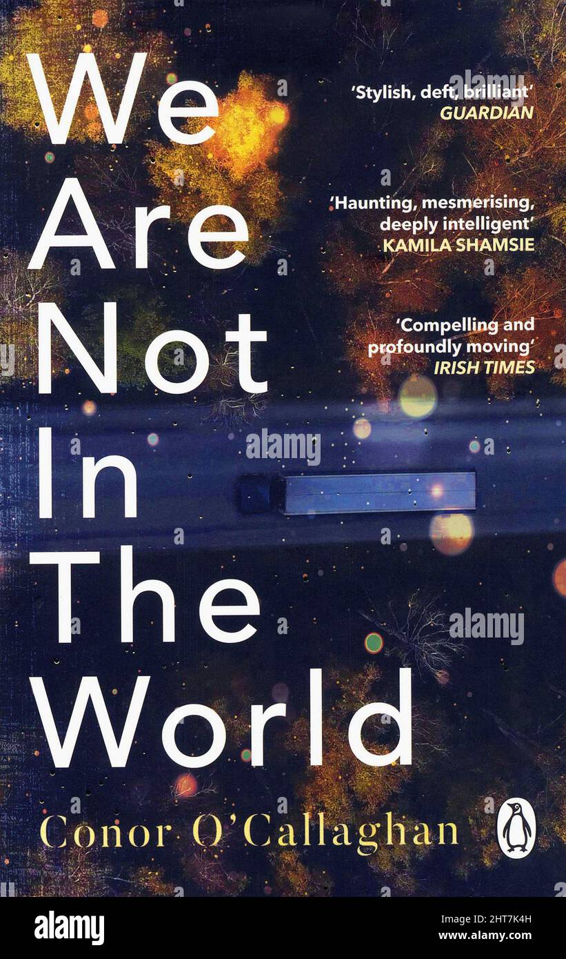 Book cover. 'We Are Not in the World' by Conor O'Callaghan Stock Photo