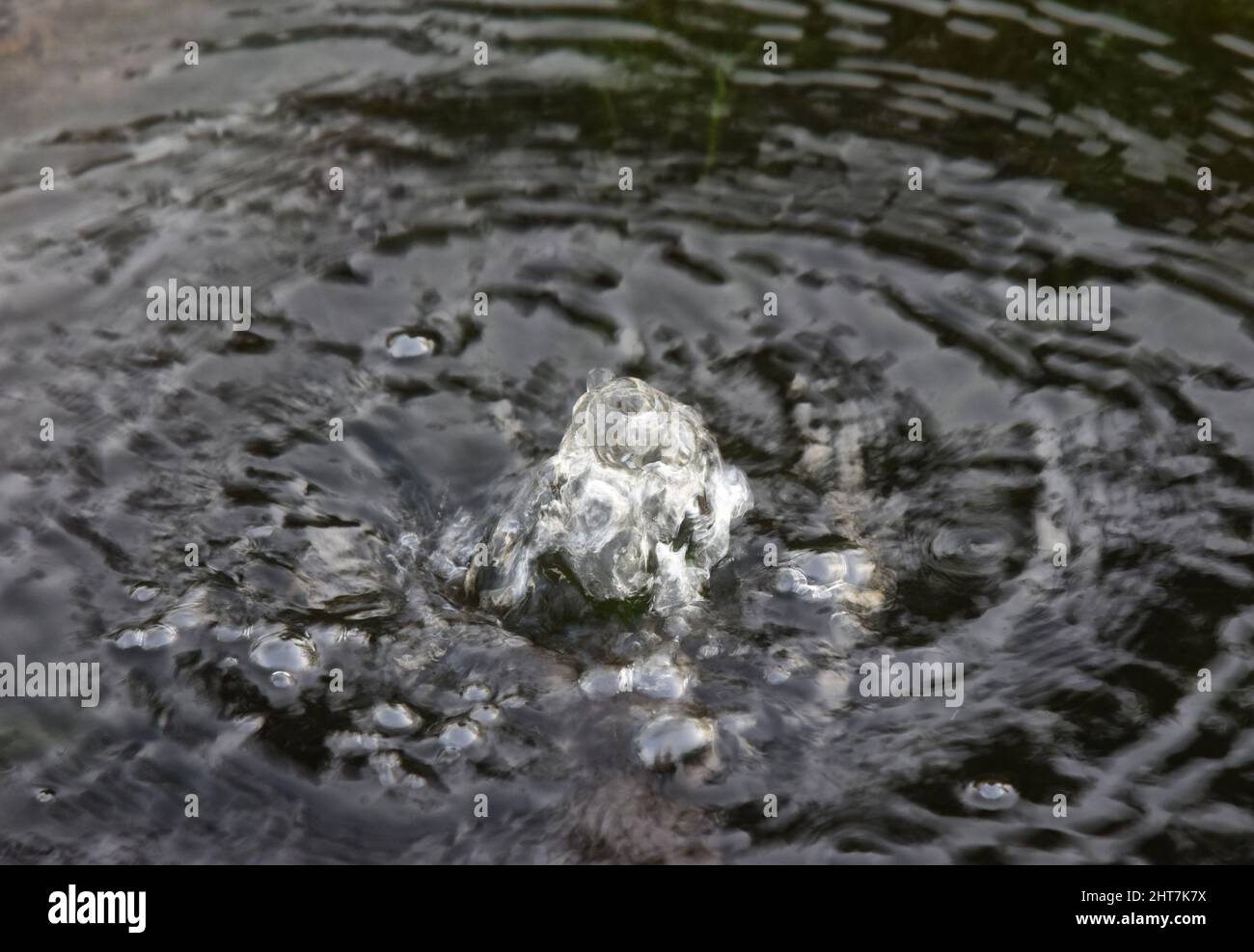 bubbling water, suffolk england Stock Photo Alamy