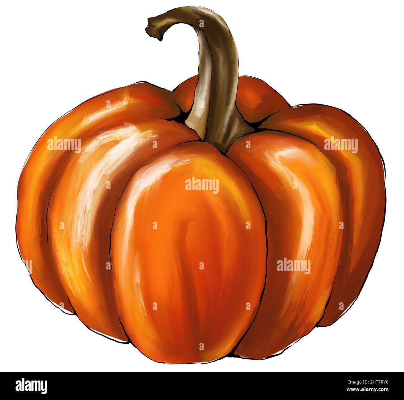 Digital hand painted pumpkin isolated on white background Stock Photo ...
