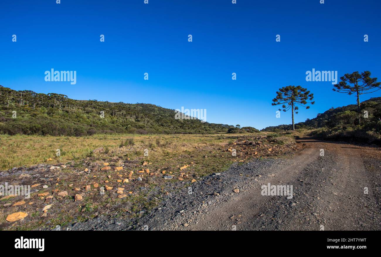 Curitiba Paraná - Brazil  Landscape, Country roads, Around the worlds