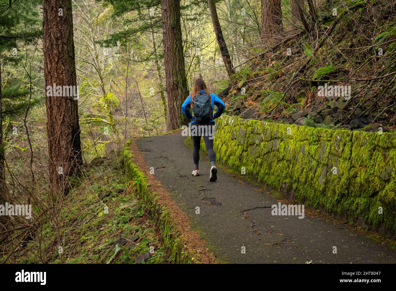 Female hiking on a trail in the Columbia River Gorge Stock Photo - Alamy
