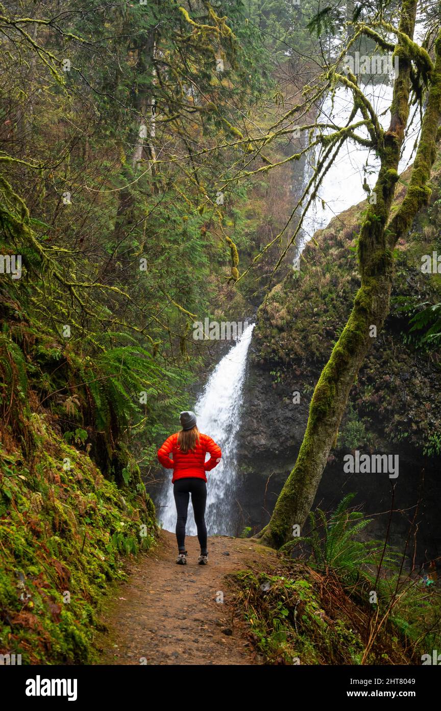 Female hiking in the Columbia River Gorge Stock Photo - Alamy