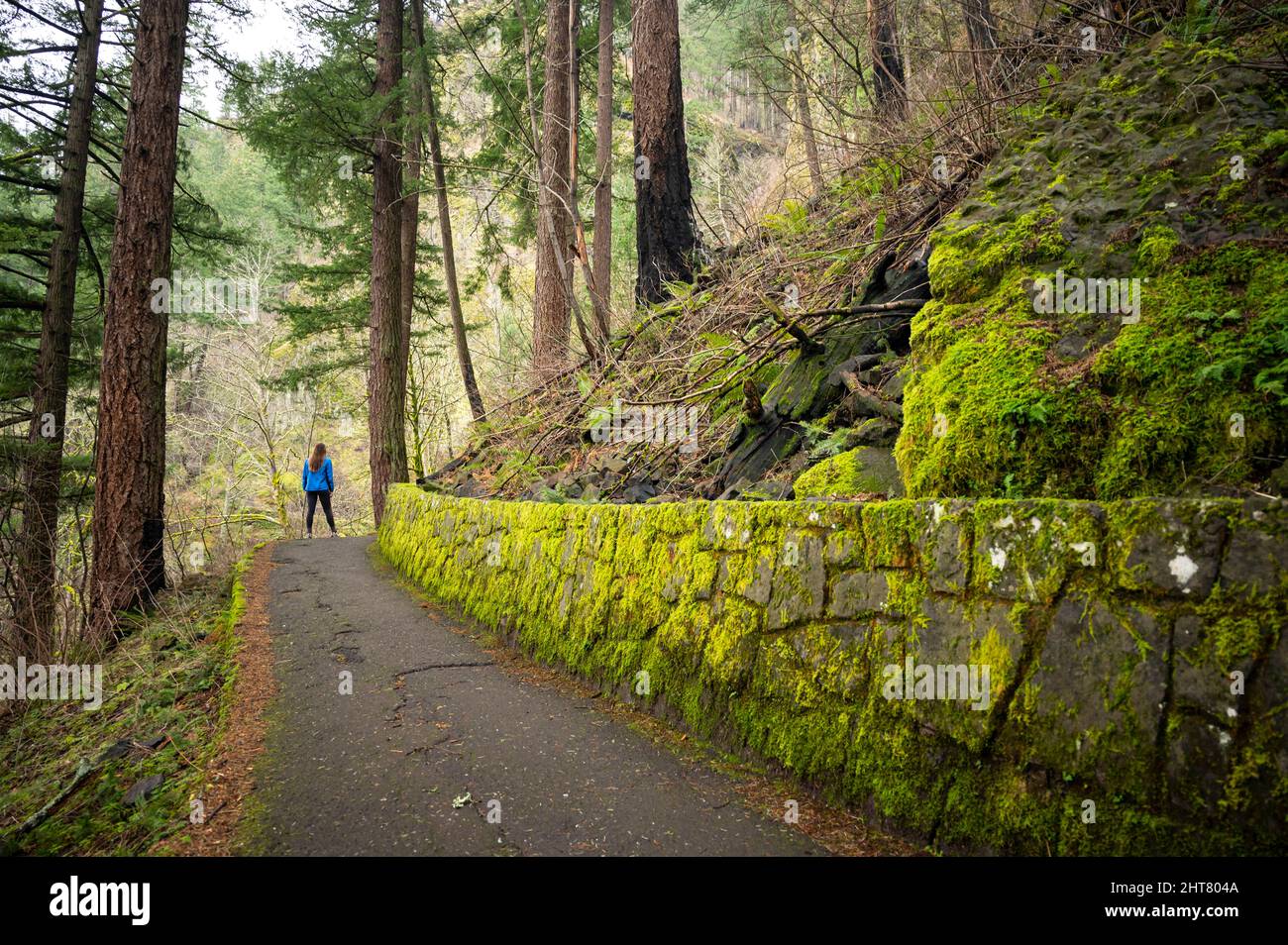 Female posing on a hiking trail in the Columbia River Gorge Stock Photo ...