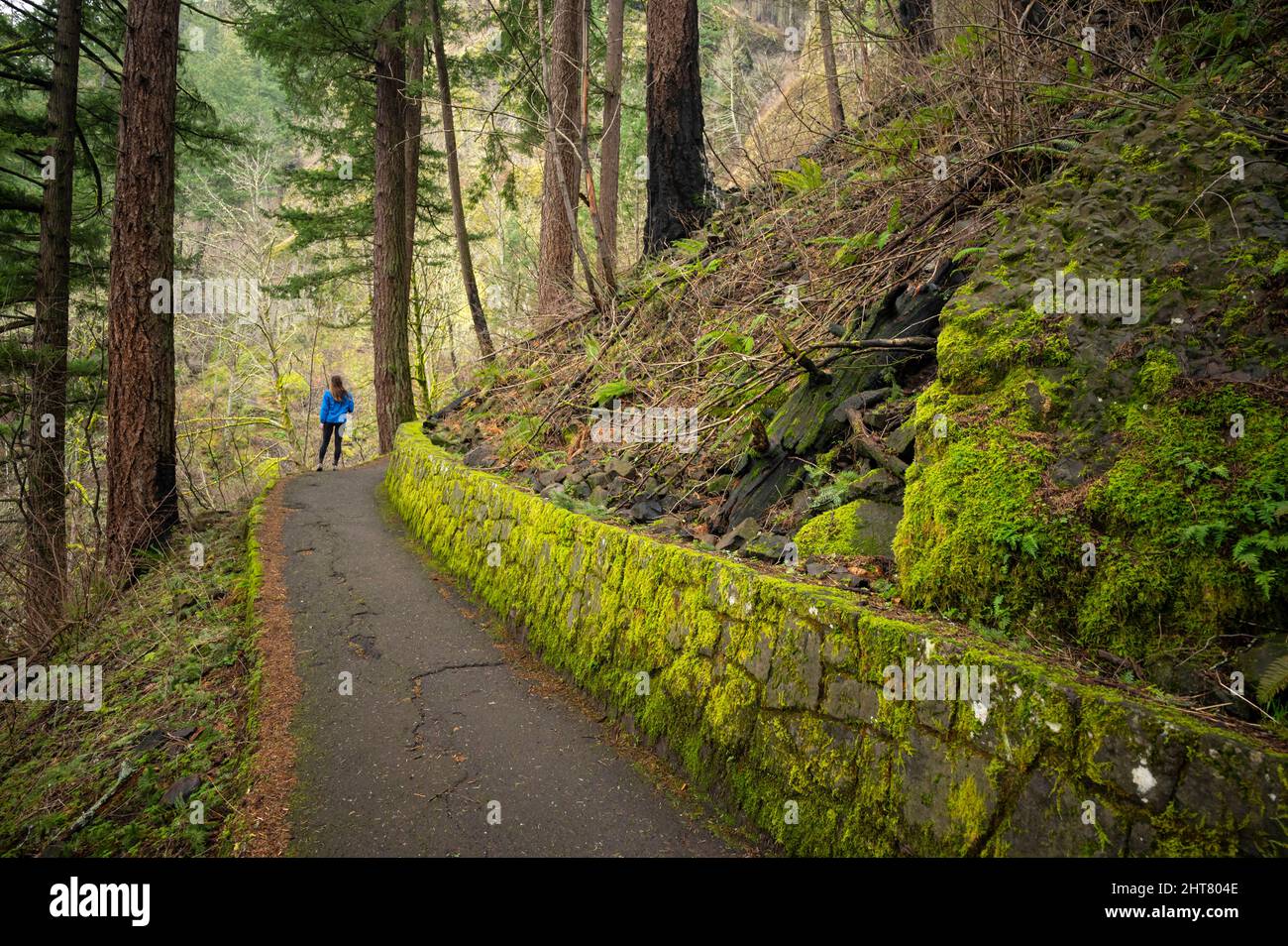 Female posing on a hiking trail in the Columbia River Gorge Stock Photo ...