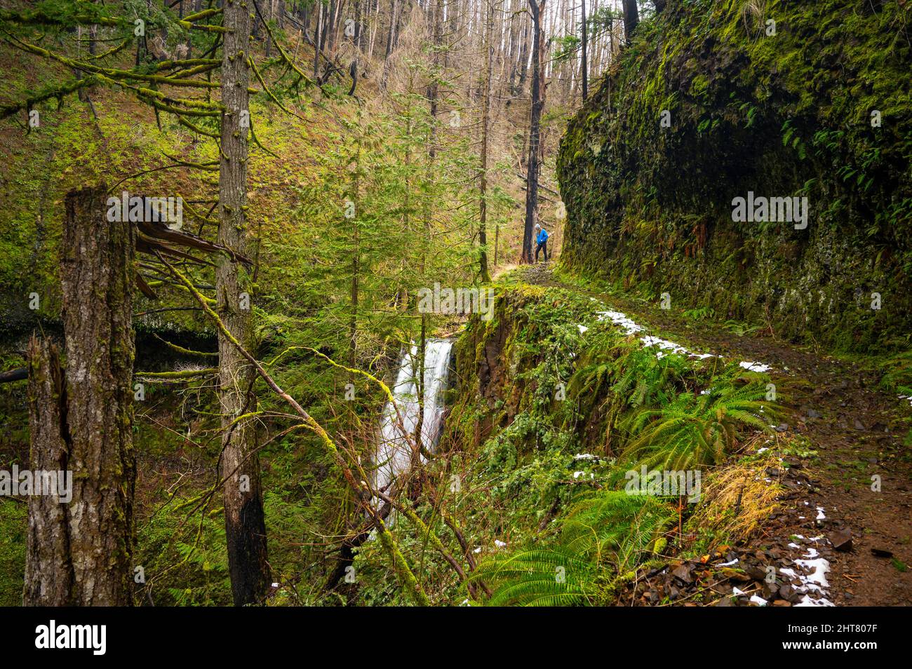 Female posing on a hiking trail in The Columbia River Gorge Stock Photo ...