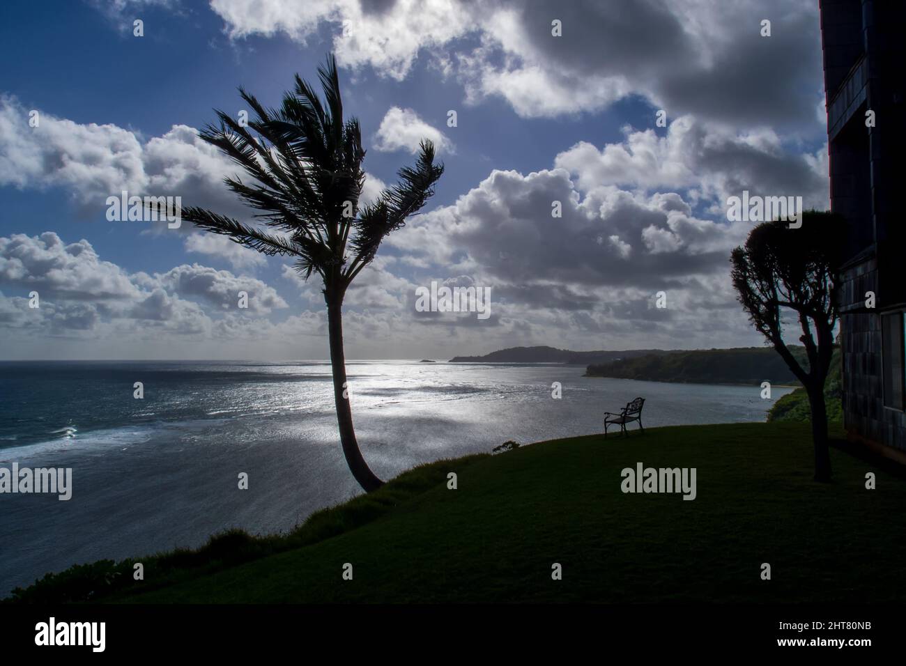 Silhouette palm tree with a cloudy blue sky Stock Photo - Alamy