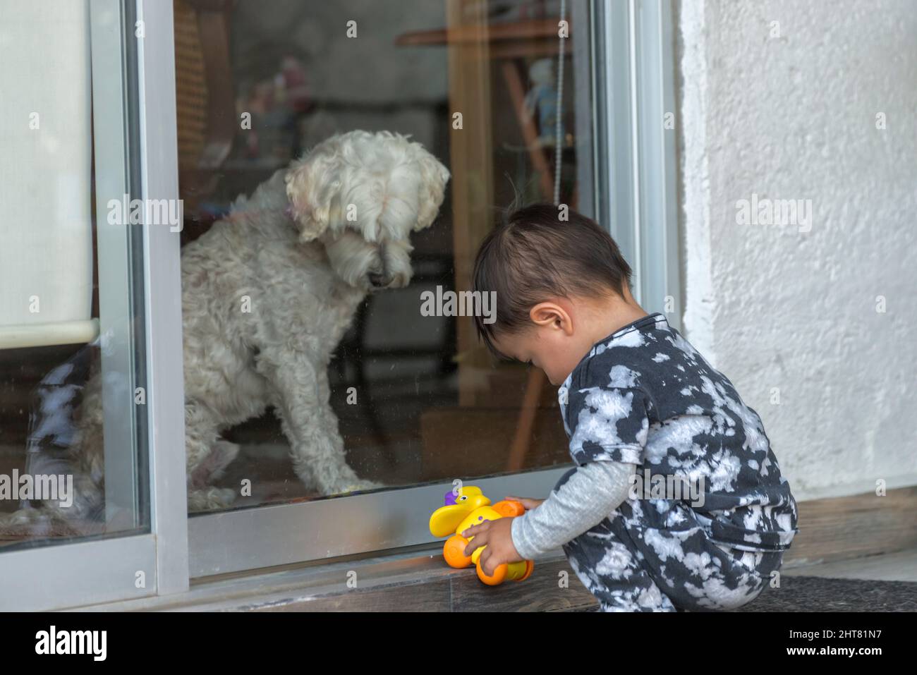 Latin baby boy playing with his toys while his dog is watching him Stock Photo