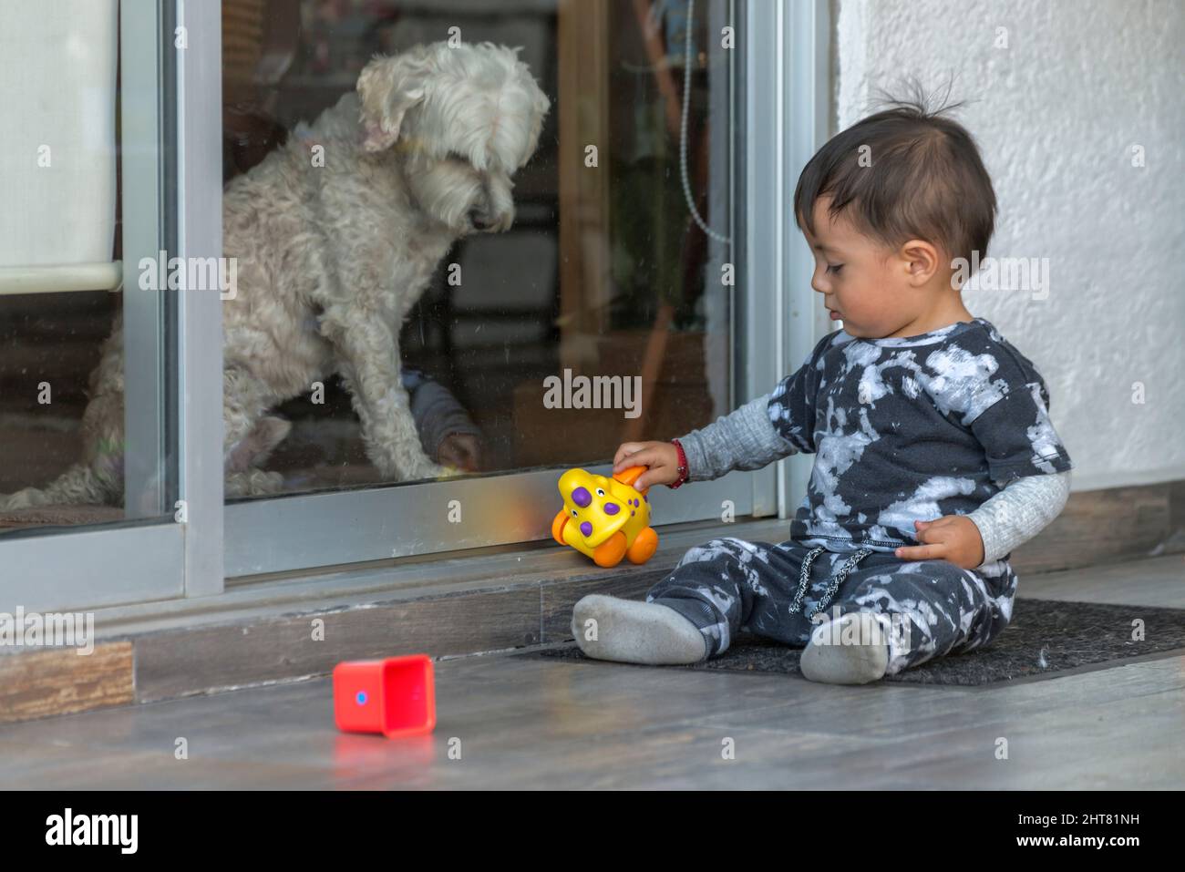 Latin boy playing with his toys while his white dog is watching him Stock Photo