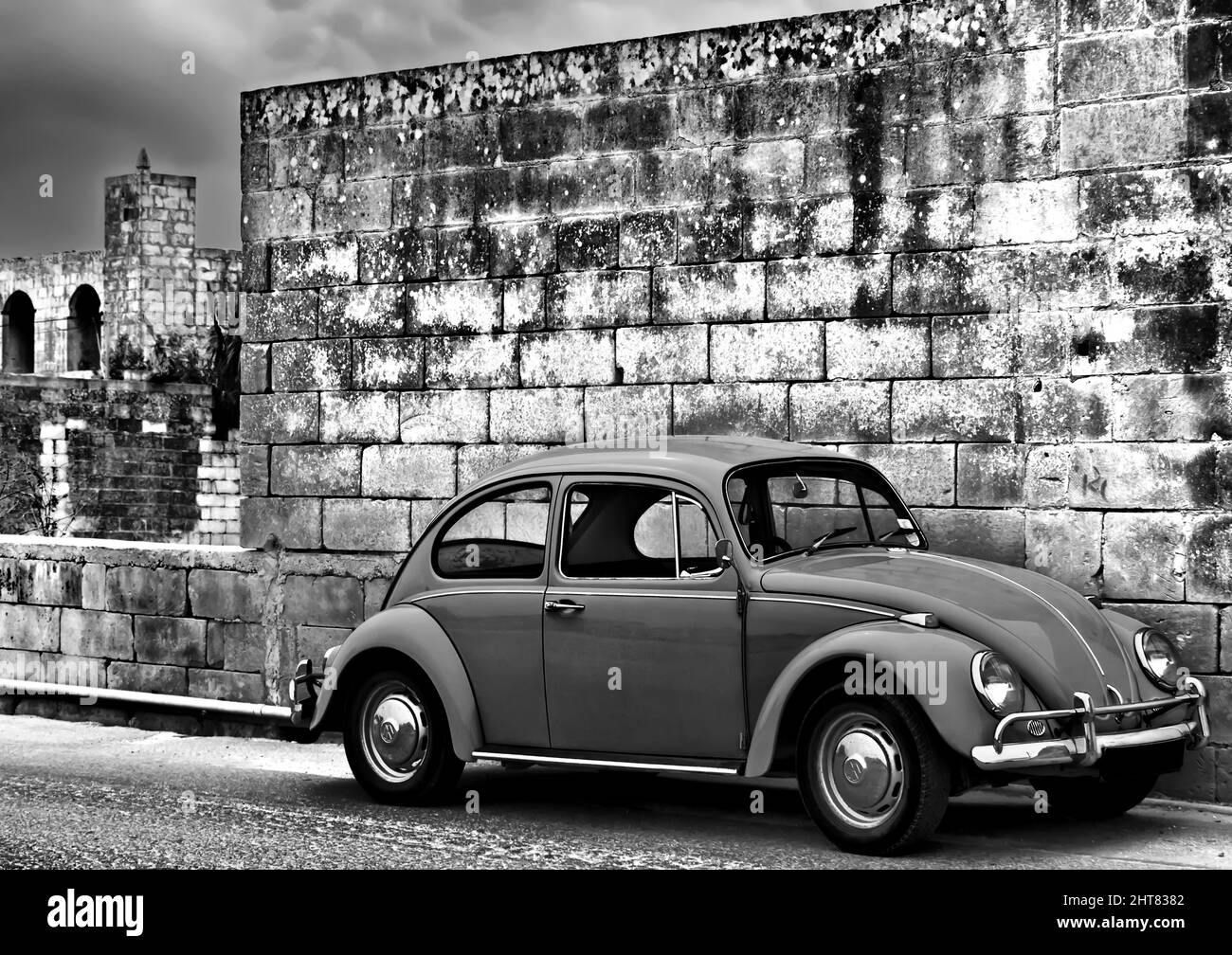 Beetle on the Wall in Malta Stock Photo