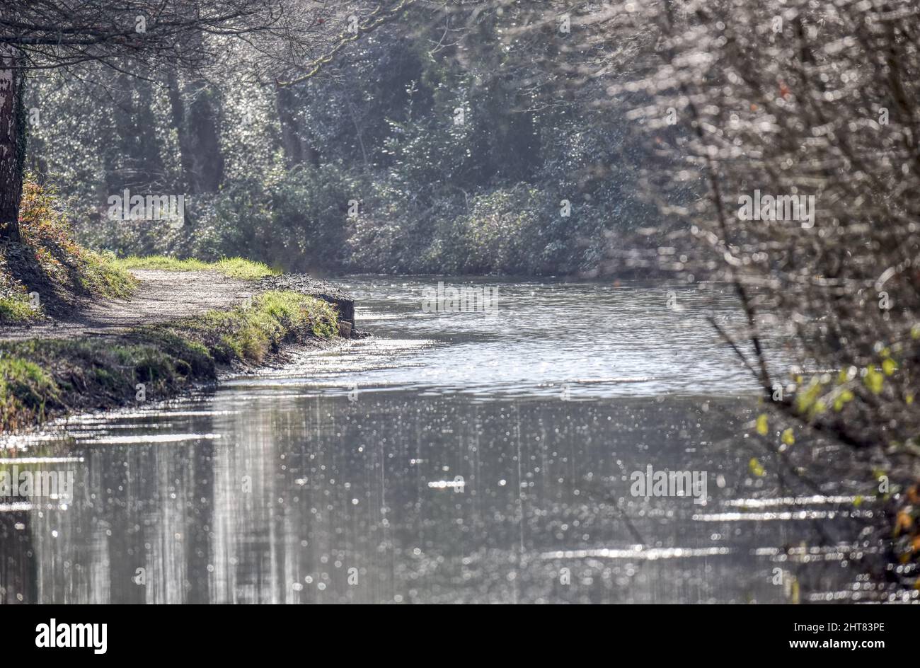 The sunlight is reflected off the water on a bright day along the beautiful Basingstoke Canal in Hampshire Stock Photo