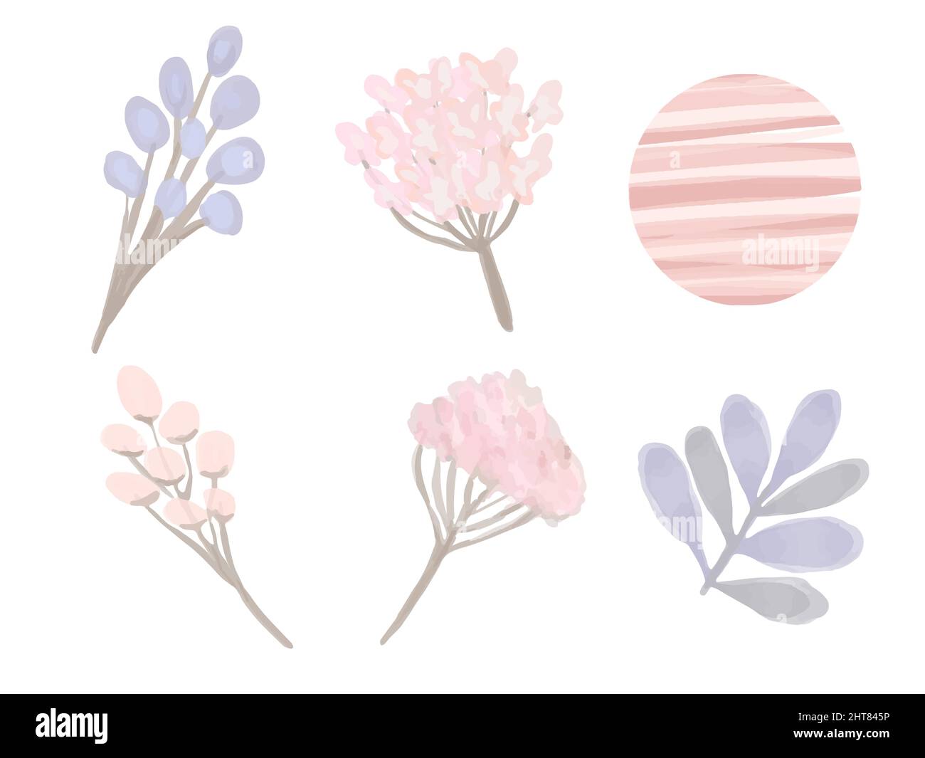 Floral watercolor collection in pastel colors. Spring set. Hand drawn Vector elements. Elements for design isolated on white background in boho style. Stock Vector