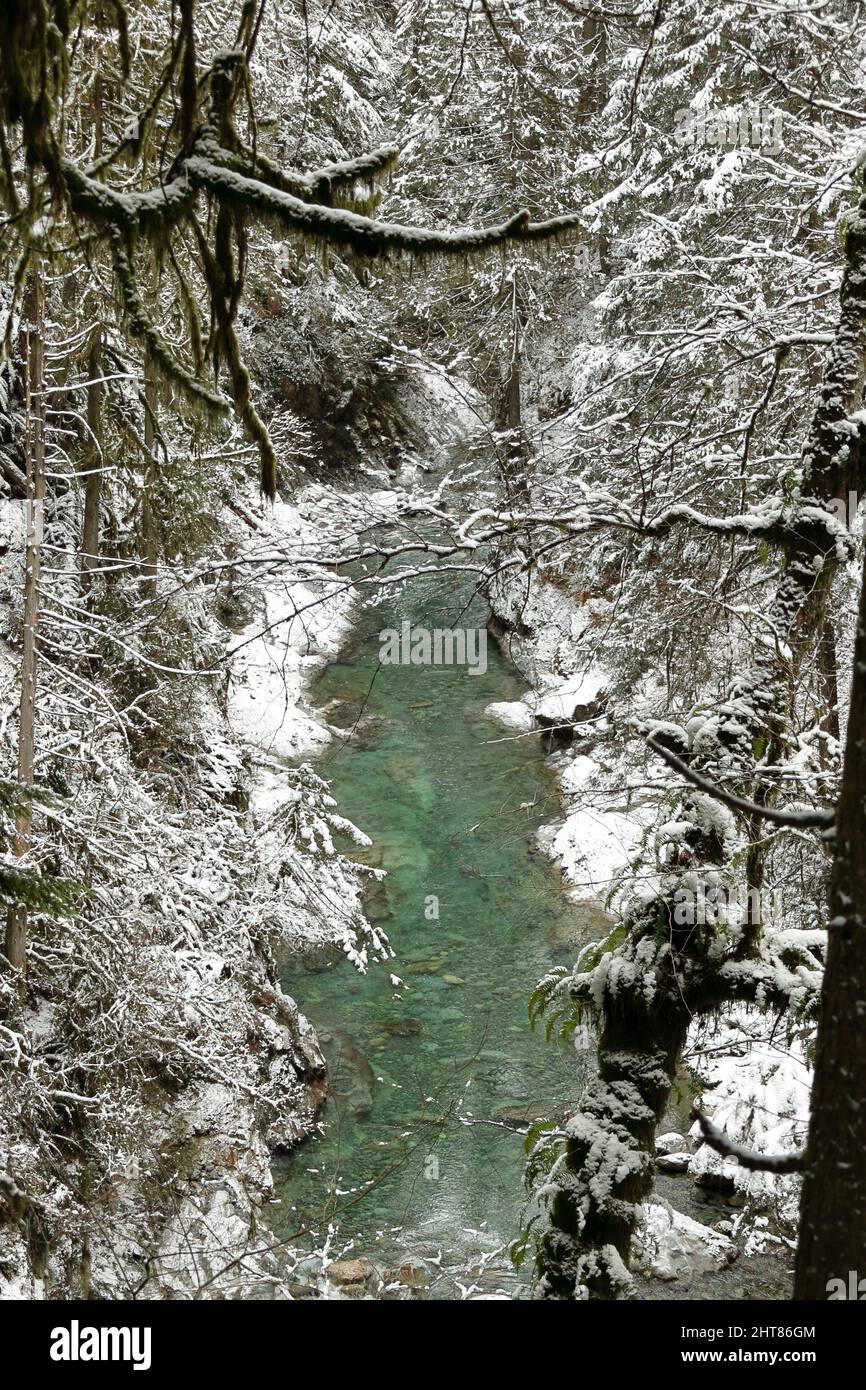 Vertical shot of a icy river in a snowy forest Stock Photo - Alamy
