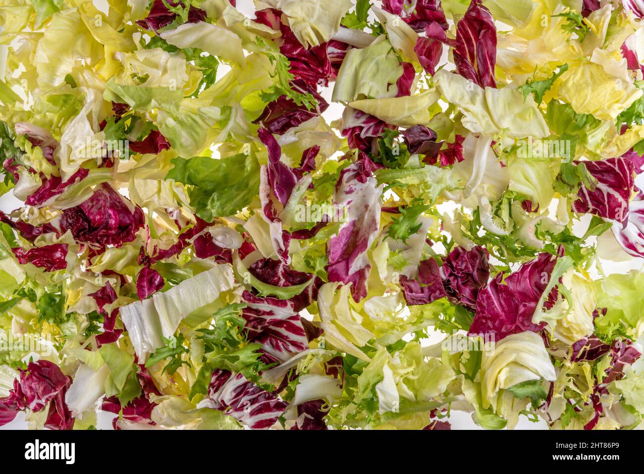 Mixed salad background, leaves lettuce, frisee, lamb lettuce and radicchio in top view, banner texture Stock Photo