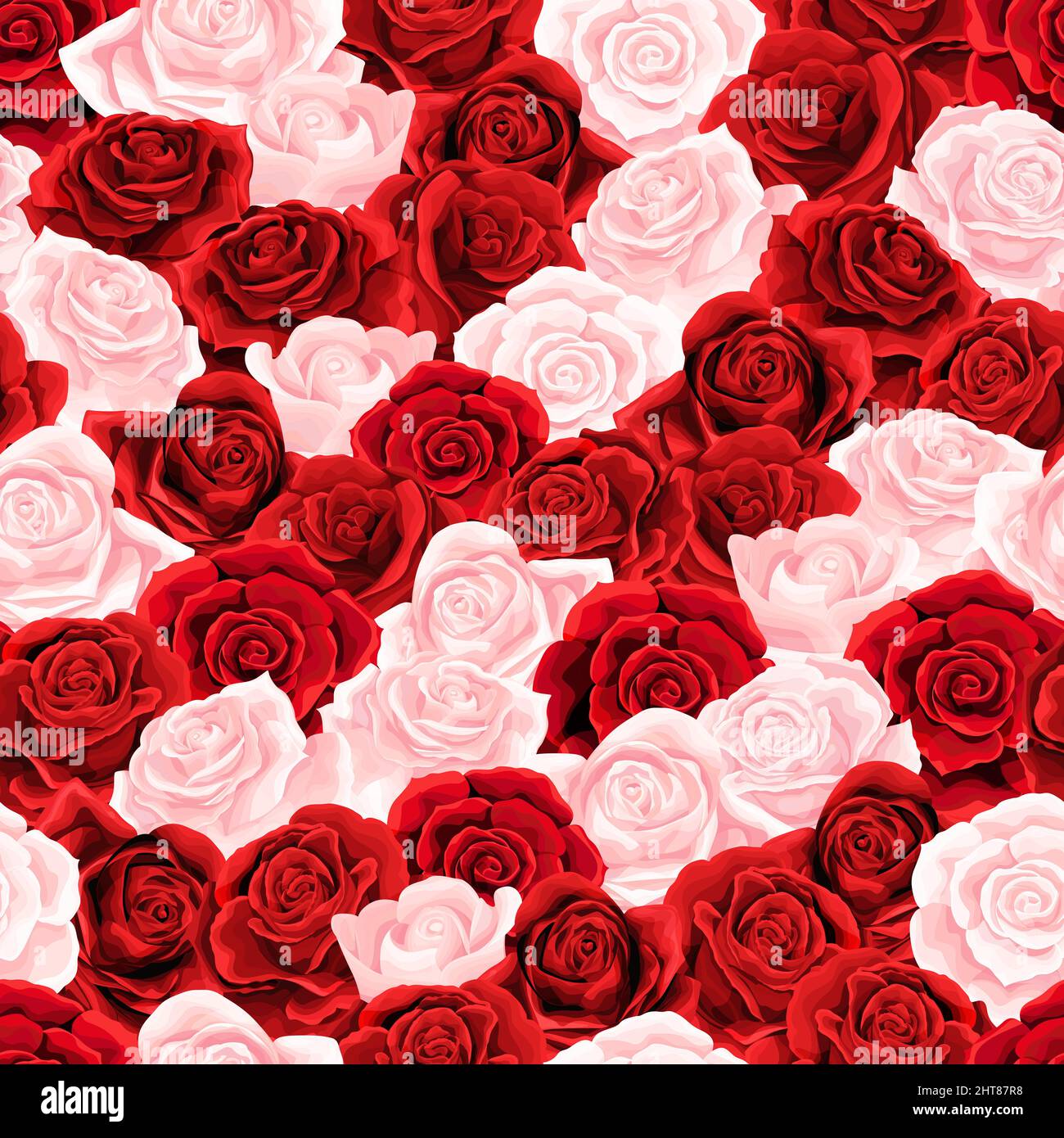 Blush Pink Rose flower Seamless pattern background texture for printing