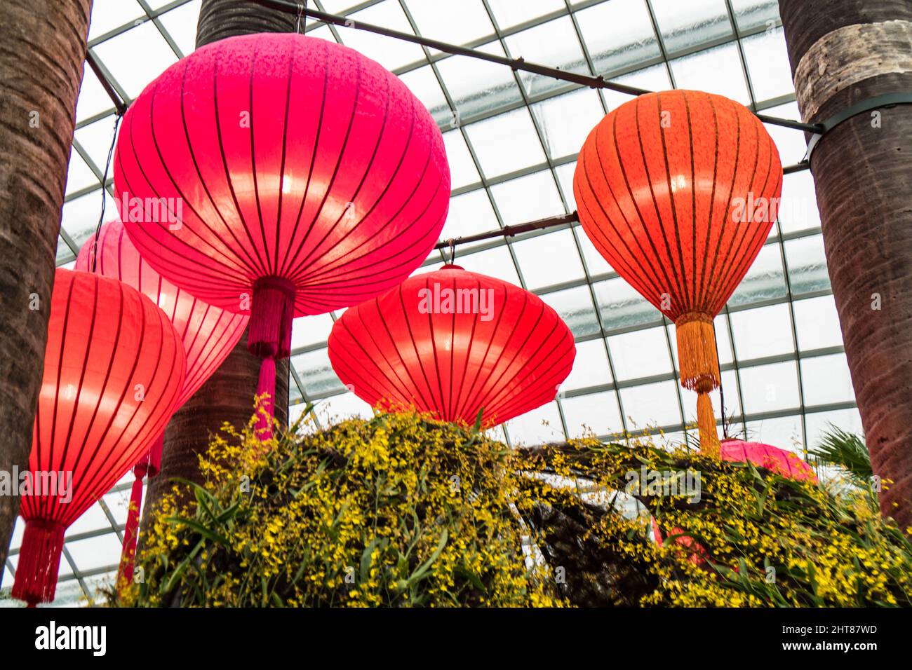 Red big Chinese lanterns hanging from above in the botanical garden of ...