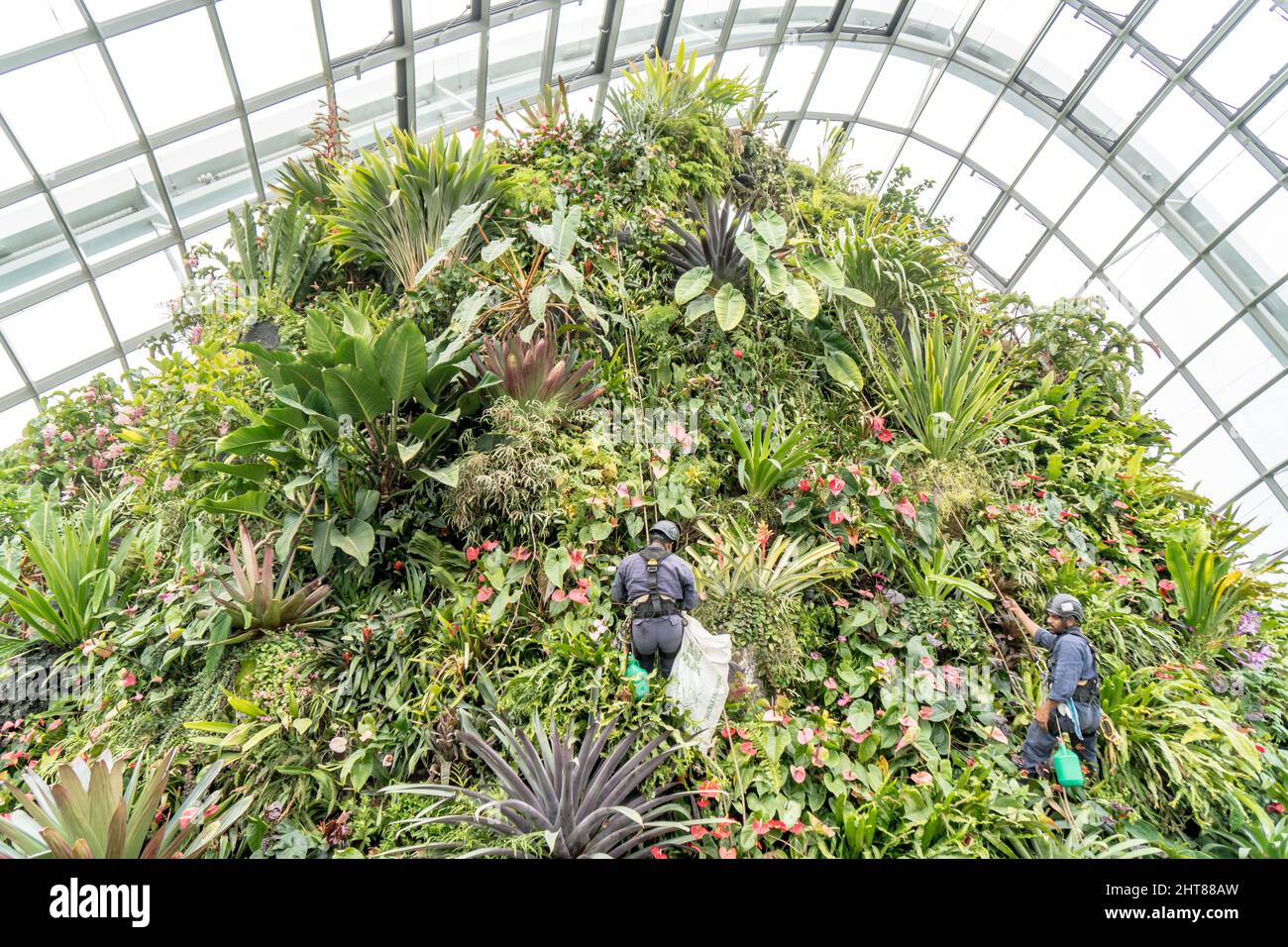 Artificial hill made with plants with two workers on it in the