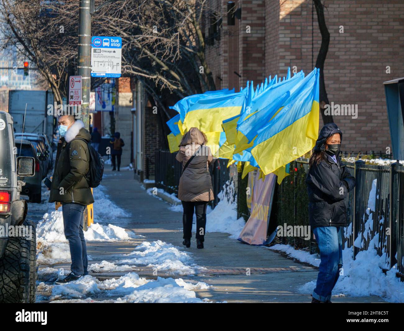 Ukrainian flags line Chicago Avenue outside the Ukrainian Cultural