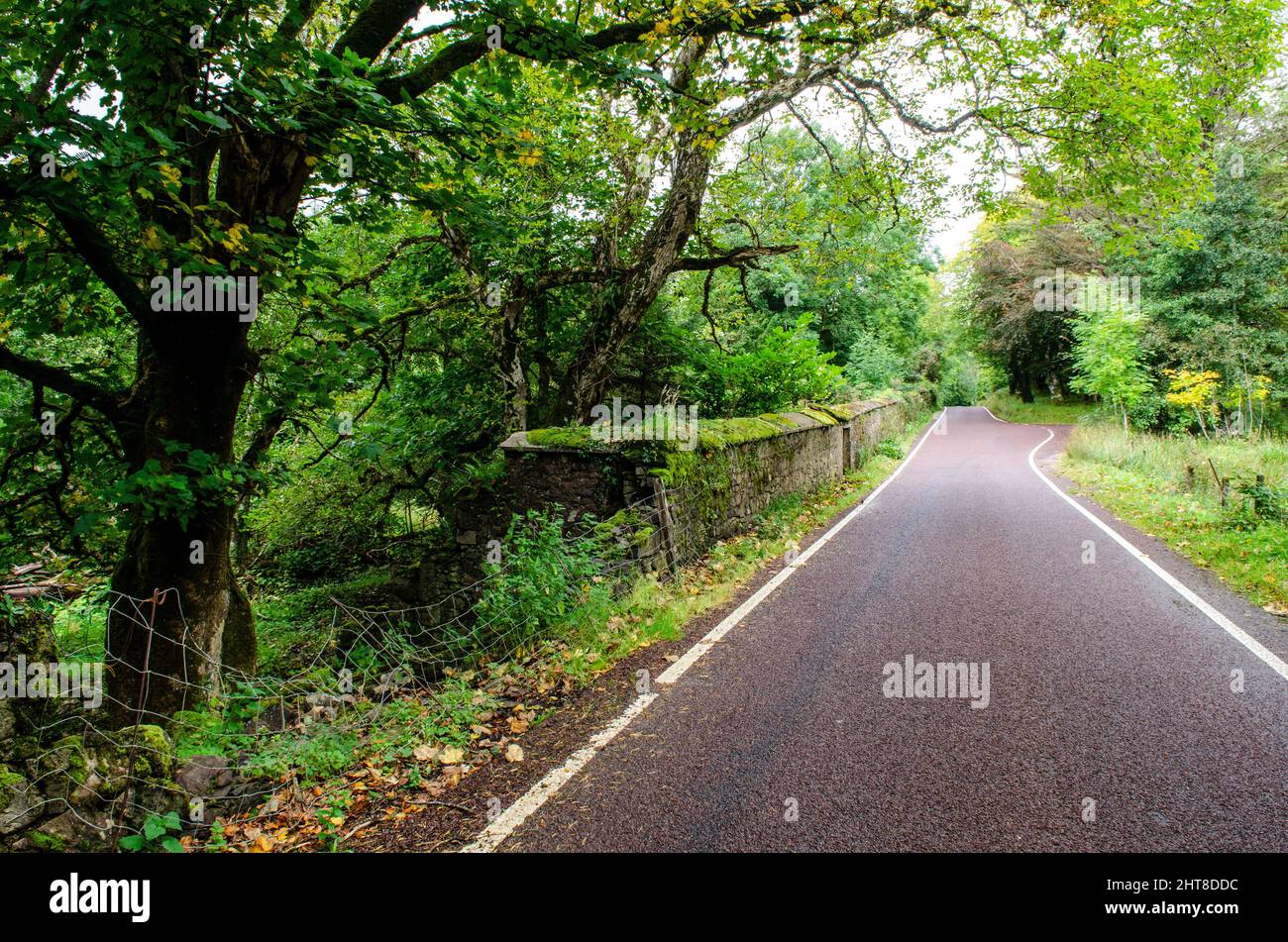 The A896 road runs through woodland and the mossy perimeter walls of the derelict Courthill House mansion in the remote west Highlands of Scotland. Stock Photo