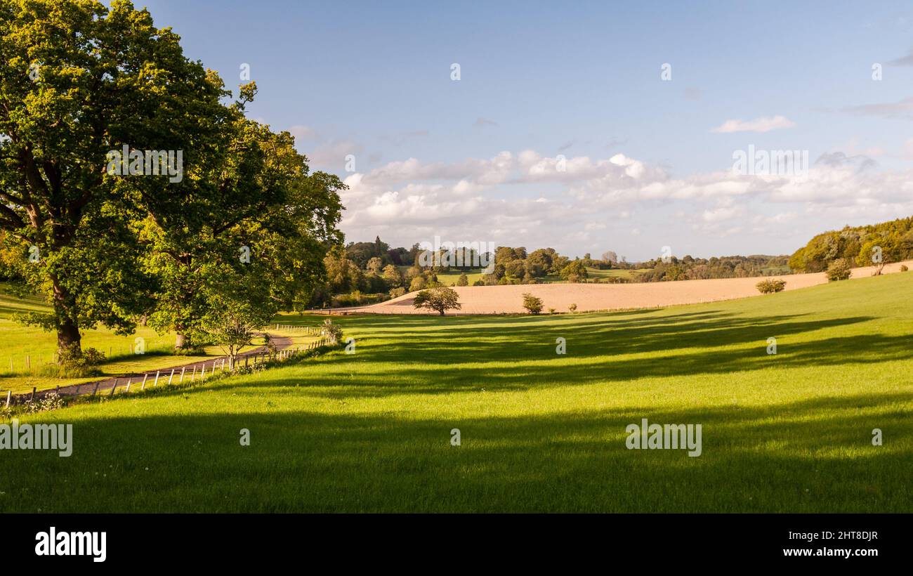 Sun shines on parkland and fields at Linthill Country House near Melrose in the Scottish Borders. Stock Photo