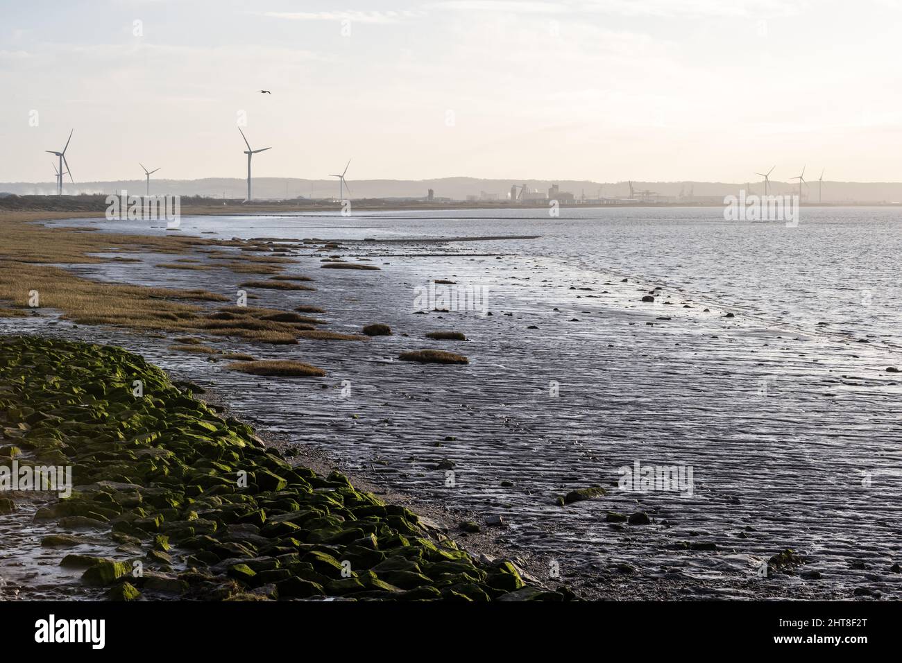 Mud flats are revealed at low tide at Severn Beach on the Bristol Channel, with the wind turbined and industrial facilities of Avonmouth Docks behind. Stock Photo