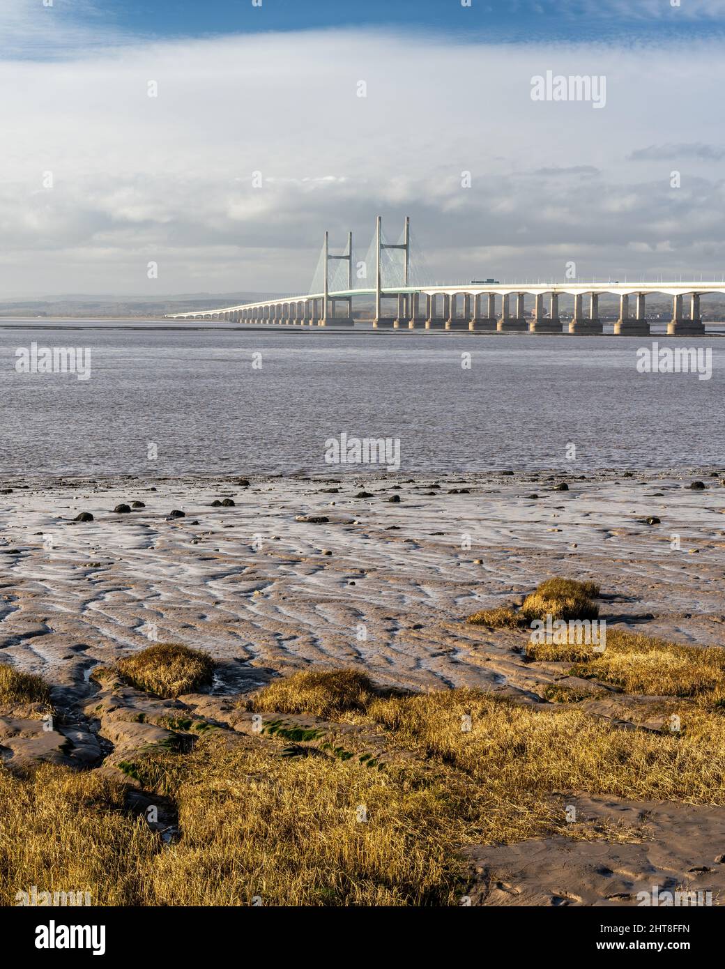 Grass grows on mud flats on the shore of the Bristol Channel at Severn Beach in Gloucestershire, with the Second Severn Crossing bridge behind. Stock Photo