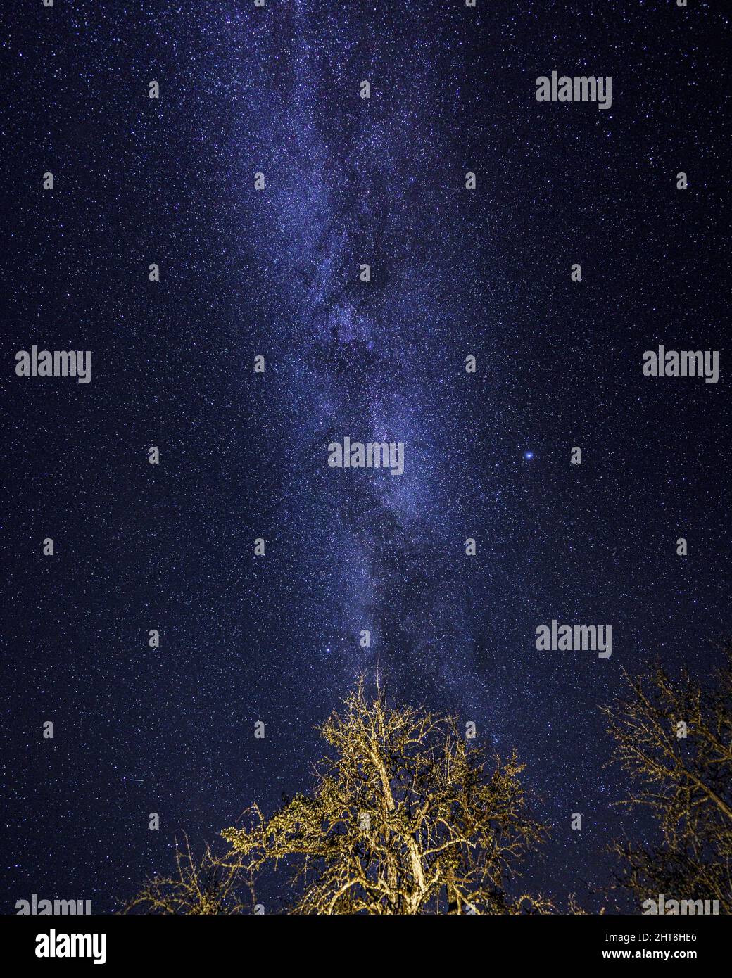 Vertical shot of the beautiful Milky Way in the night sky full of stars ...